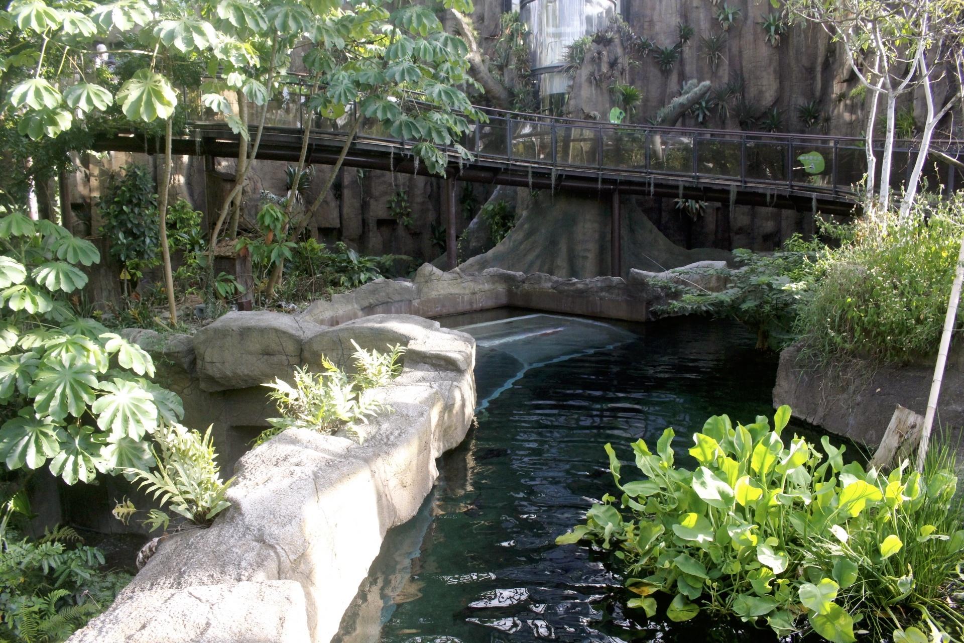 【臺北 Taipei Zoo木柵動物園】暑期新館！經歷13年、斥資3.9億打造24公尺高「熱帶雨林」館，平日時間自由進出