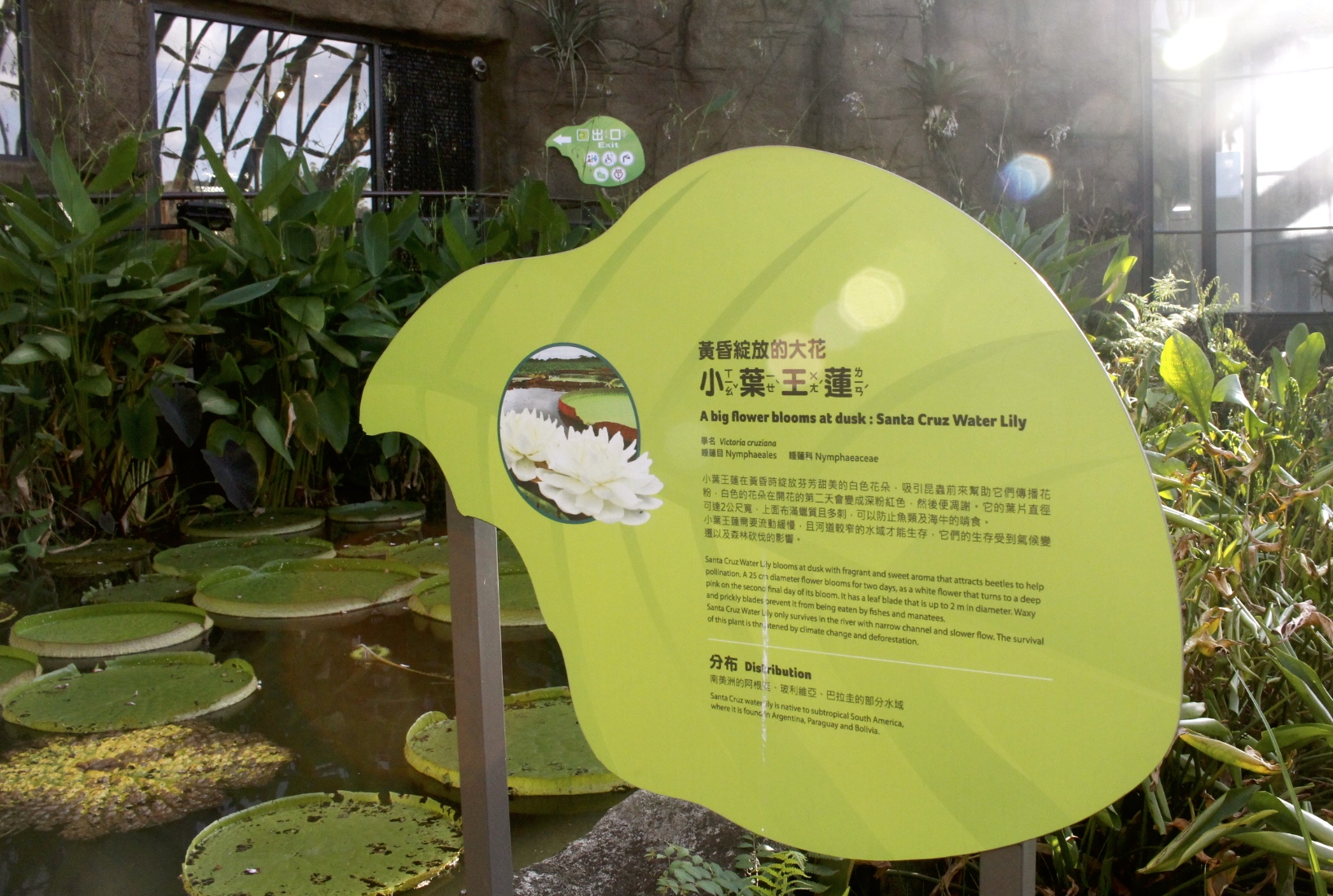 【臺北 Taipei Zoo木柵動物園】暑期新館！經歷13年、斥資3.9億打造24公尺高「熱帶雨林」館，平日時間自由進出