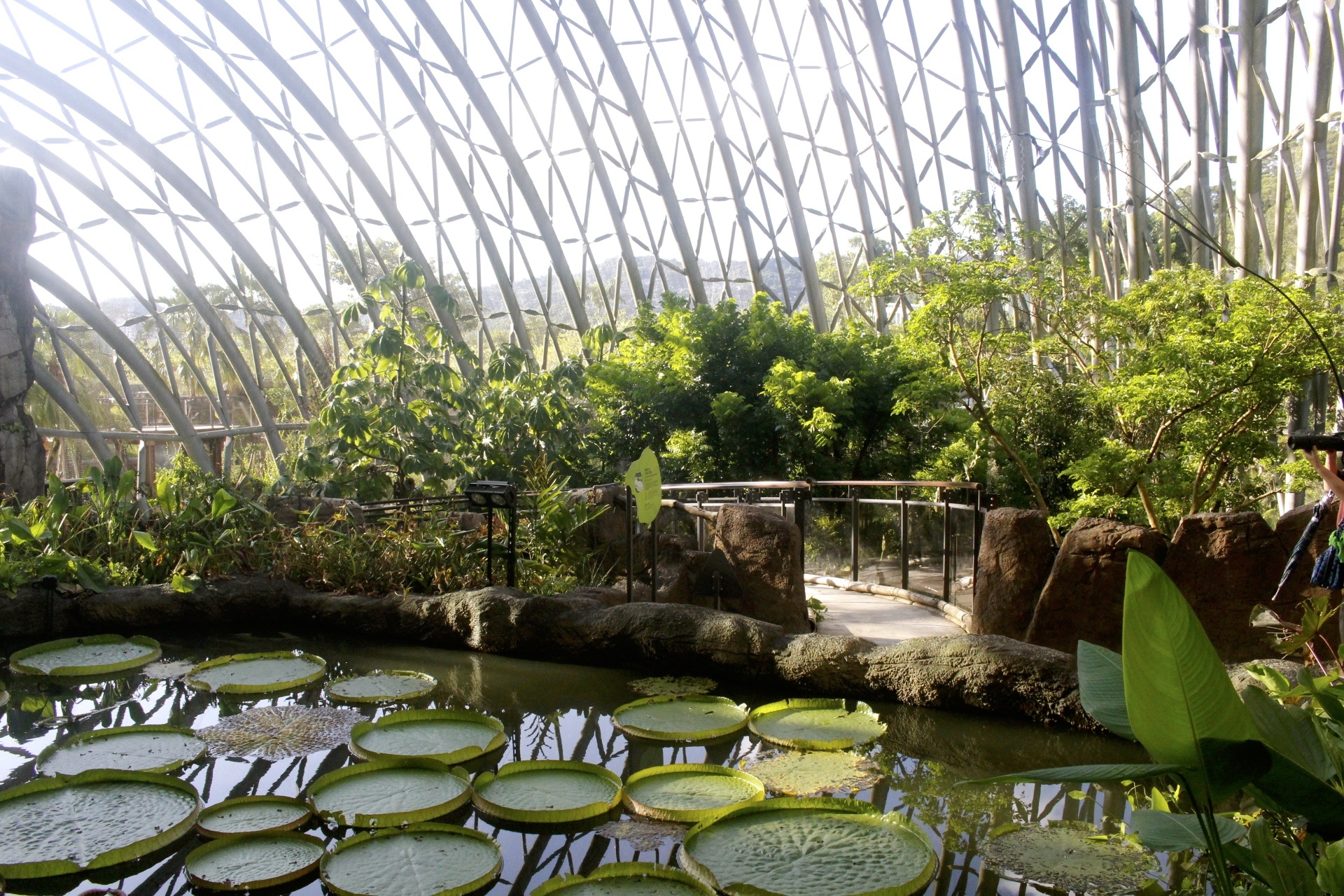 【臺北 Taipei Zoo木柵動物園】暑期新館！經歷13年、斥資3.9億打造24公尺高「熱帶雨林」館，平日時間自由進出