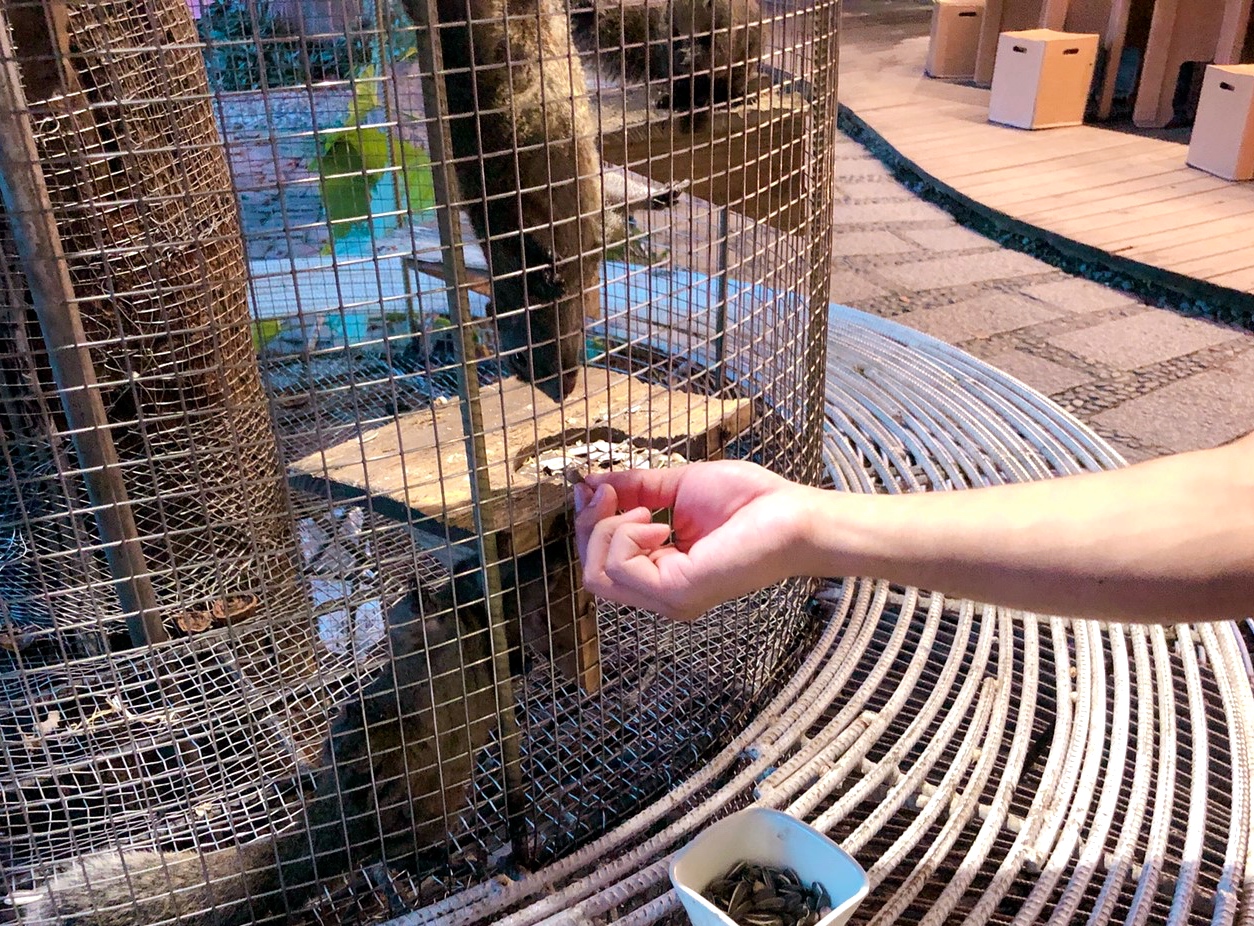 【臺中 紙箱王創意園區】新玩法！鋼雕藝術么么空中步道、巨型蘑菇屋，還能體驗蒸氣造型紙火車！