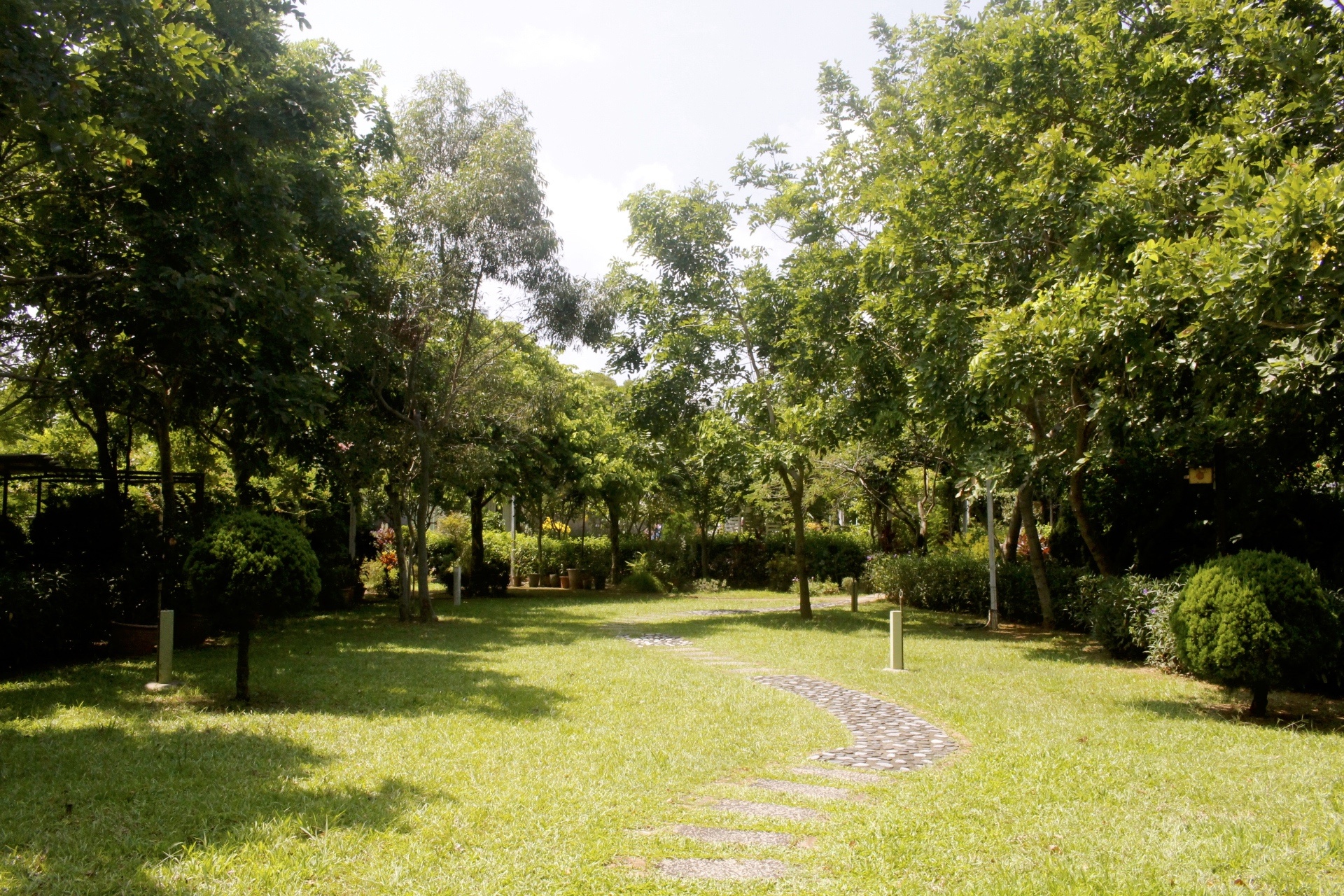 大園餐廳,親子遊,親子餐廳,阿勃勒