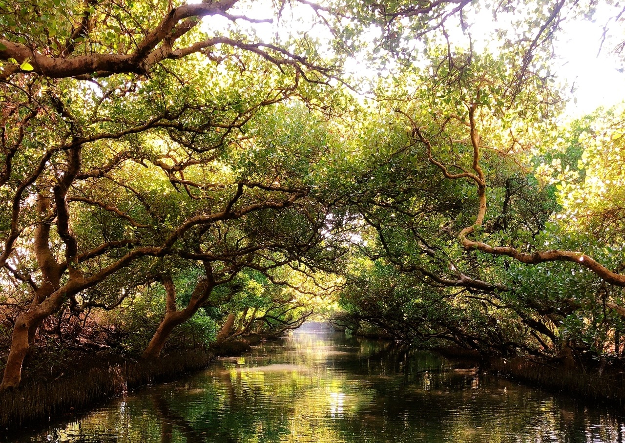 四草綠色隧道，抹香鯨博物館，臺南景點