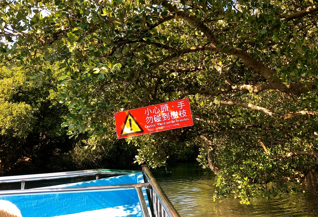 四草綠色隧道，抹香鯨博物館，臺南景點