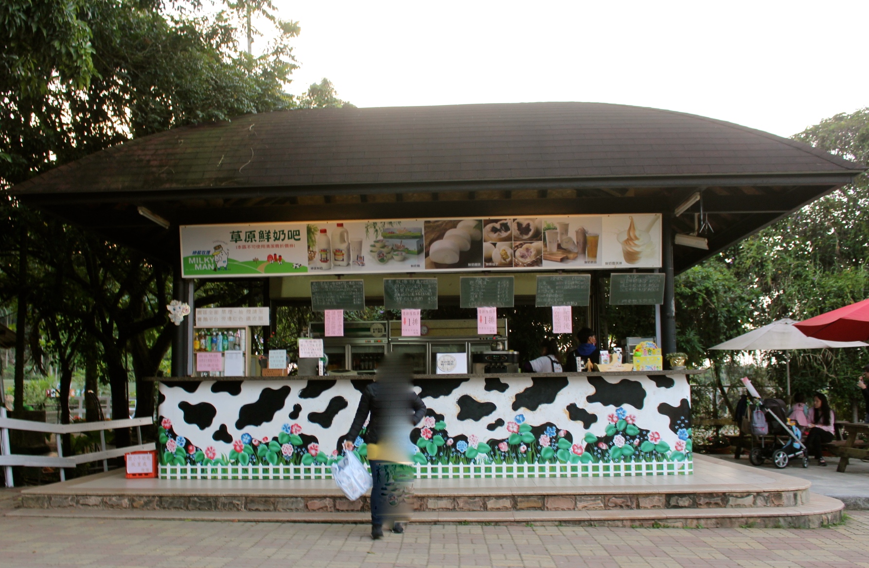 【玩 綠盈牧場】50元就能入園觀賞「全臺唯一鵝賽場」！餵食山羊兔子、牧牛草原、牽牛花溜滑梯