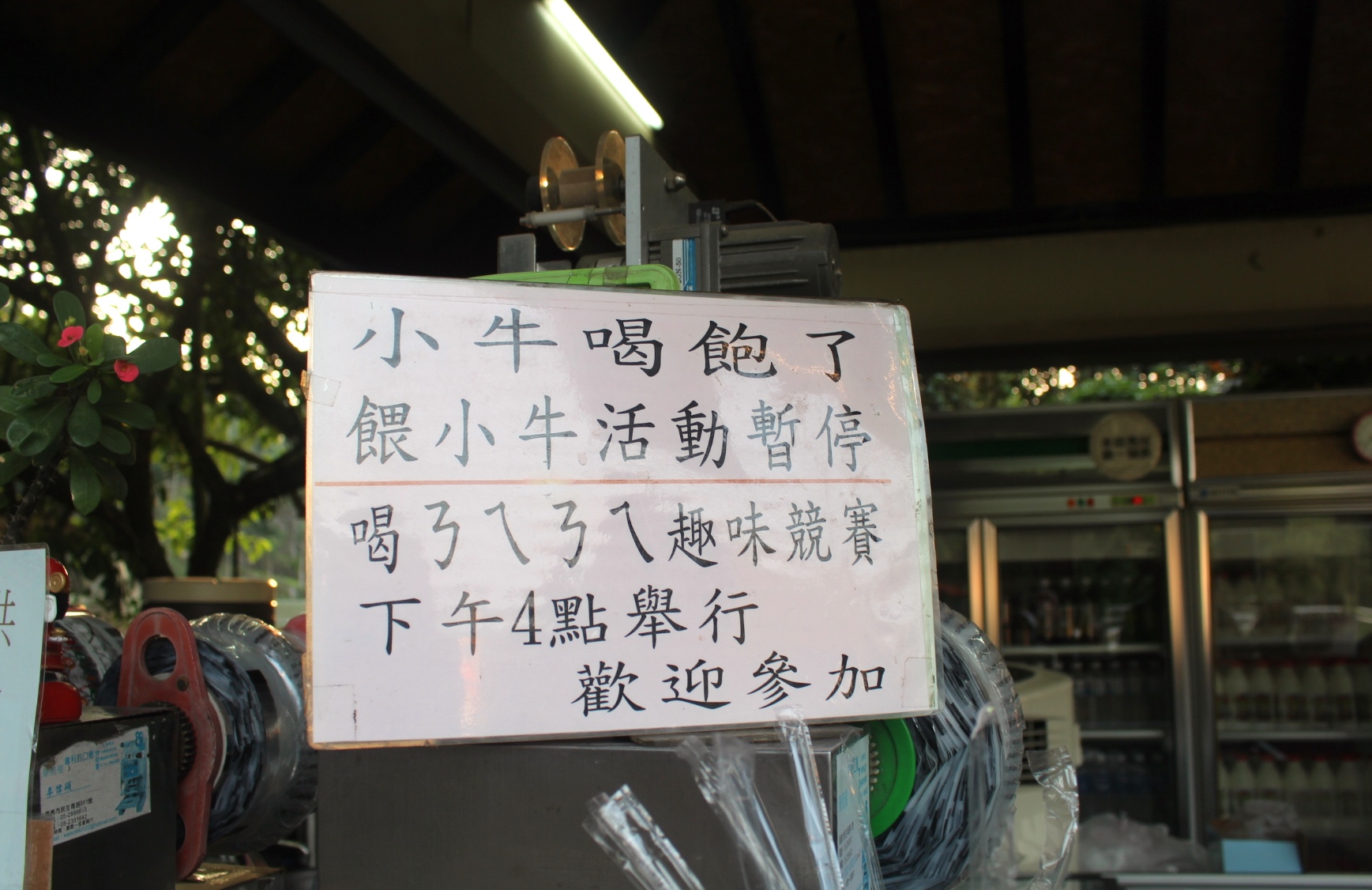 【玩 綠盈牧場】50元就能入園觀賞「全臺唯一鵝賽場」！餵食山羊兔子、牧牛草原、牽牛花溜滑梯