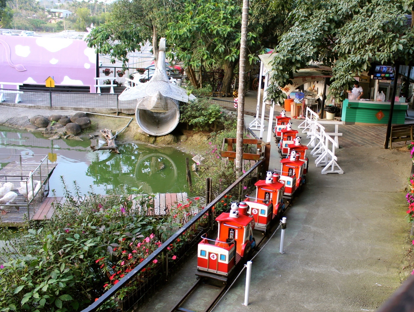 【玩 綠盈牧場】50元就能入園觀賞「全臺唯一鵝賽場」！餵食山羊兔子、牧牛草原、牽牛花溜滑梯