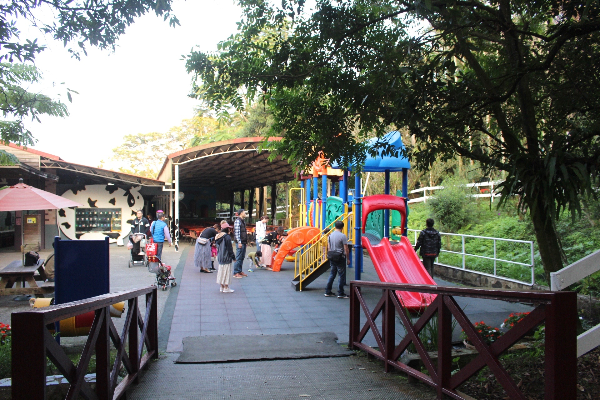 【玩 綠盈牧場】50元就能入園觀賞「全臺唯一鵝賽場」！餵食山羊兔子、牧牛草原、牽牛花溜滑梯