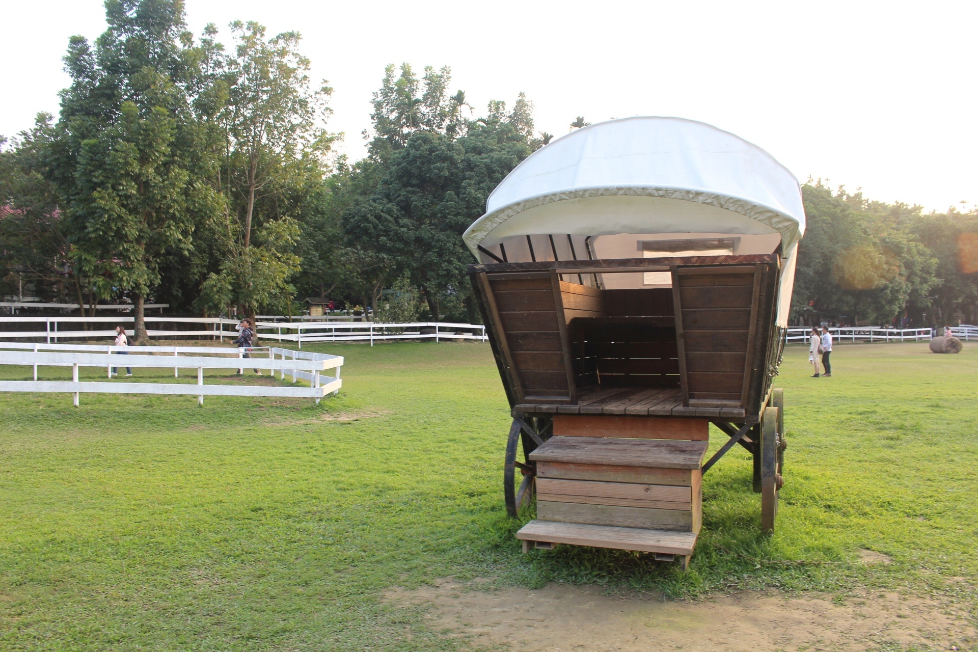 【玩 綠盈牧場】50元就能入園觀賞「全臺唯一鵝賽場」！餵食山羊兔子、牧牛草原、牽牛花溜滑梯