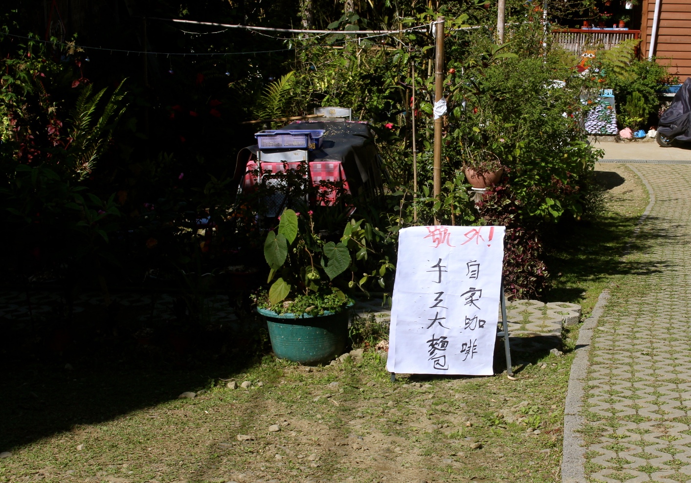 【遊 都恩亞納】遺落的深山秘境！海拔1400公尺的臺版小合掌村「鄒族部落」