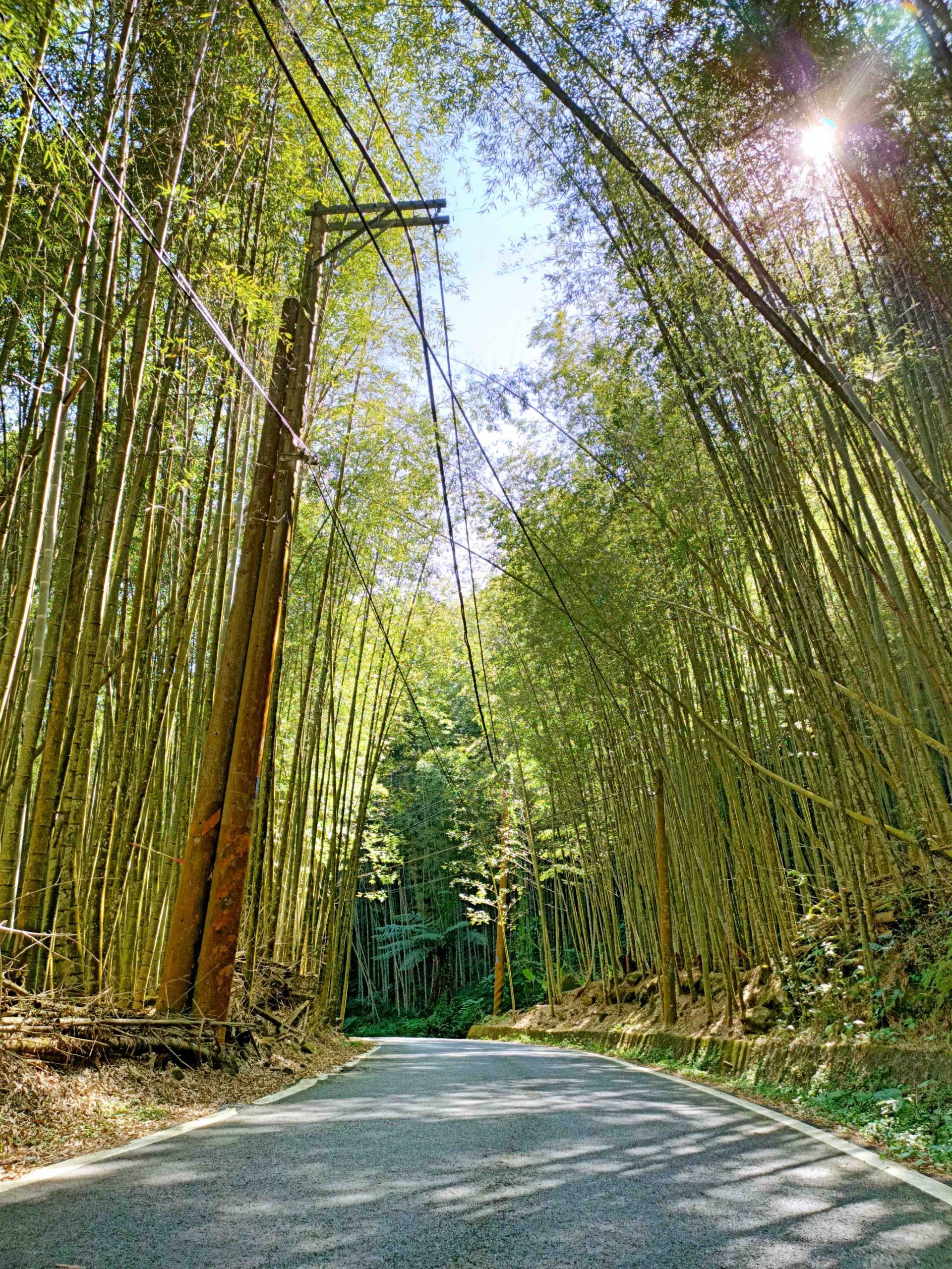 【遊 都恩亞納】遺落的深山秘境！海拔1400公尺的臺版小合掌村「鄒族部落」