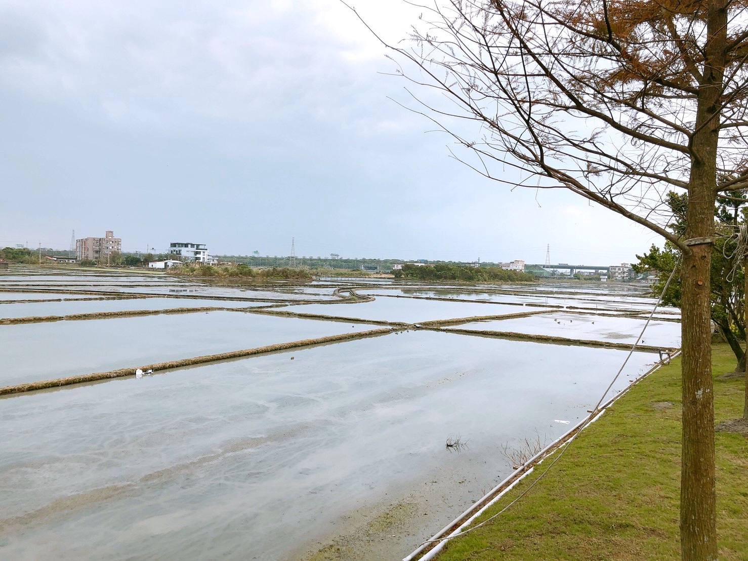 奇立丹民宿,夜市,宜蘭好玩,宜蘭住宿,奇立丹宿?食?湯,礁溪溫泉夜市,泡湯,宜蘭景點,無色無味碳酸氫鈉泉,臺灣小吃