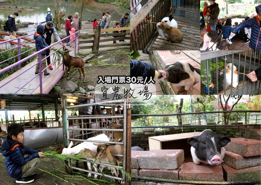 【玩 宜農牧場】30元誠實投幣入園．餵食五寶100元可以餵到八種小動物！不限時間、附設停車場