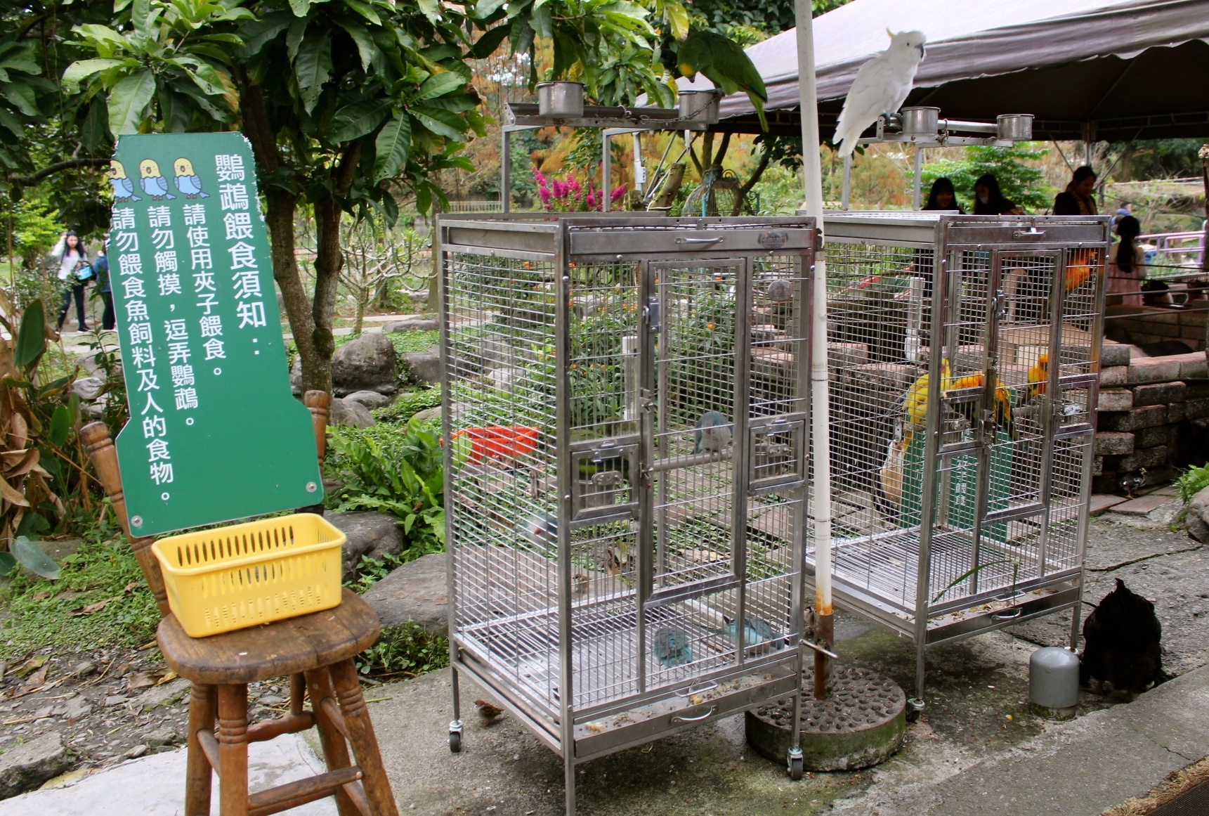 【玩 宜農牧場】30元誠實投幣入園．餵食五寶100元可以餵到八種小動物！不限時間、附設停車場