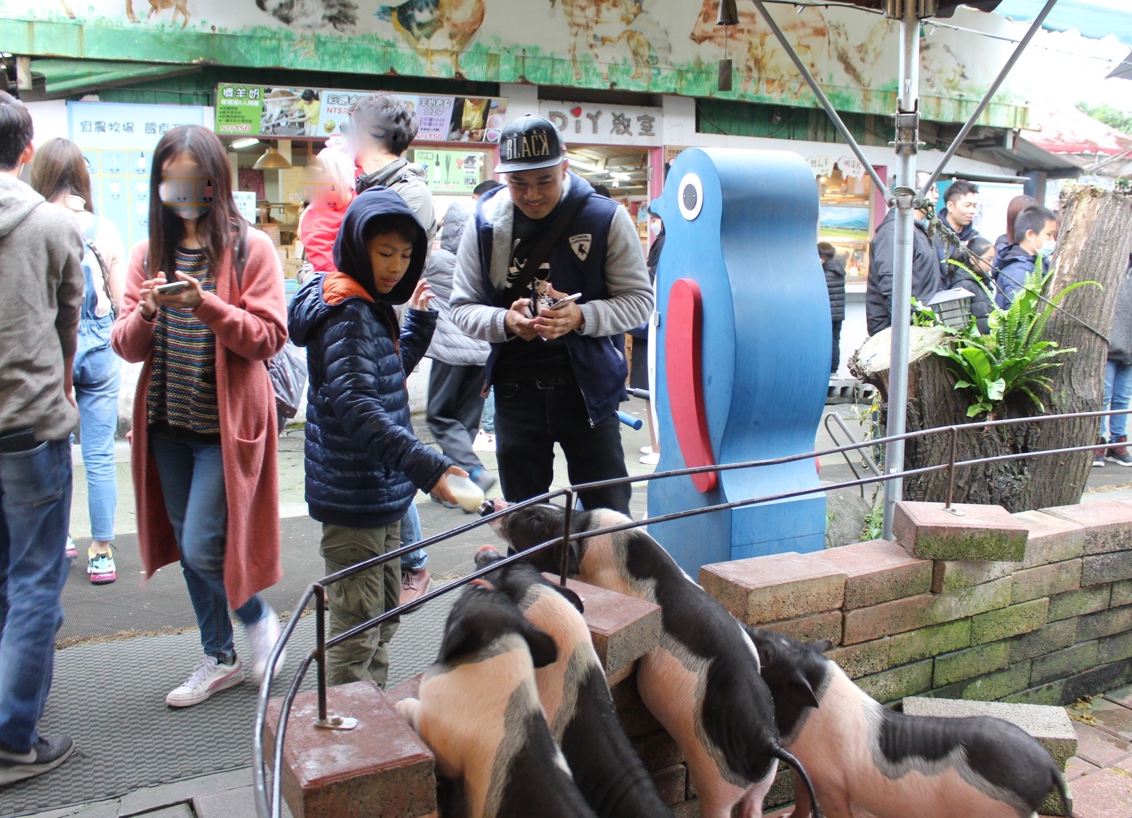 【玩 宜農牧場】30元誠實投幣入園．餵食五寶100元可以餵到八種小動物！不限時間、附設停車場