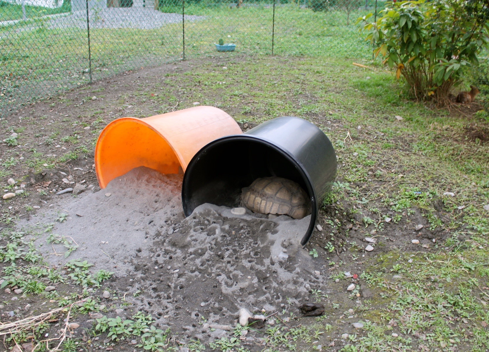 【玩 宜農牧場】30元誠實投幣入園．餵食五寶100元可以餵到八種小動物！不限時間、附設停車場