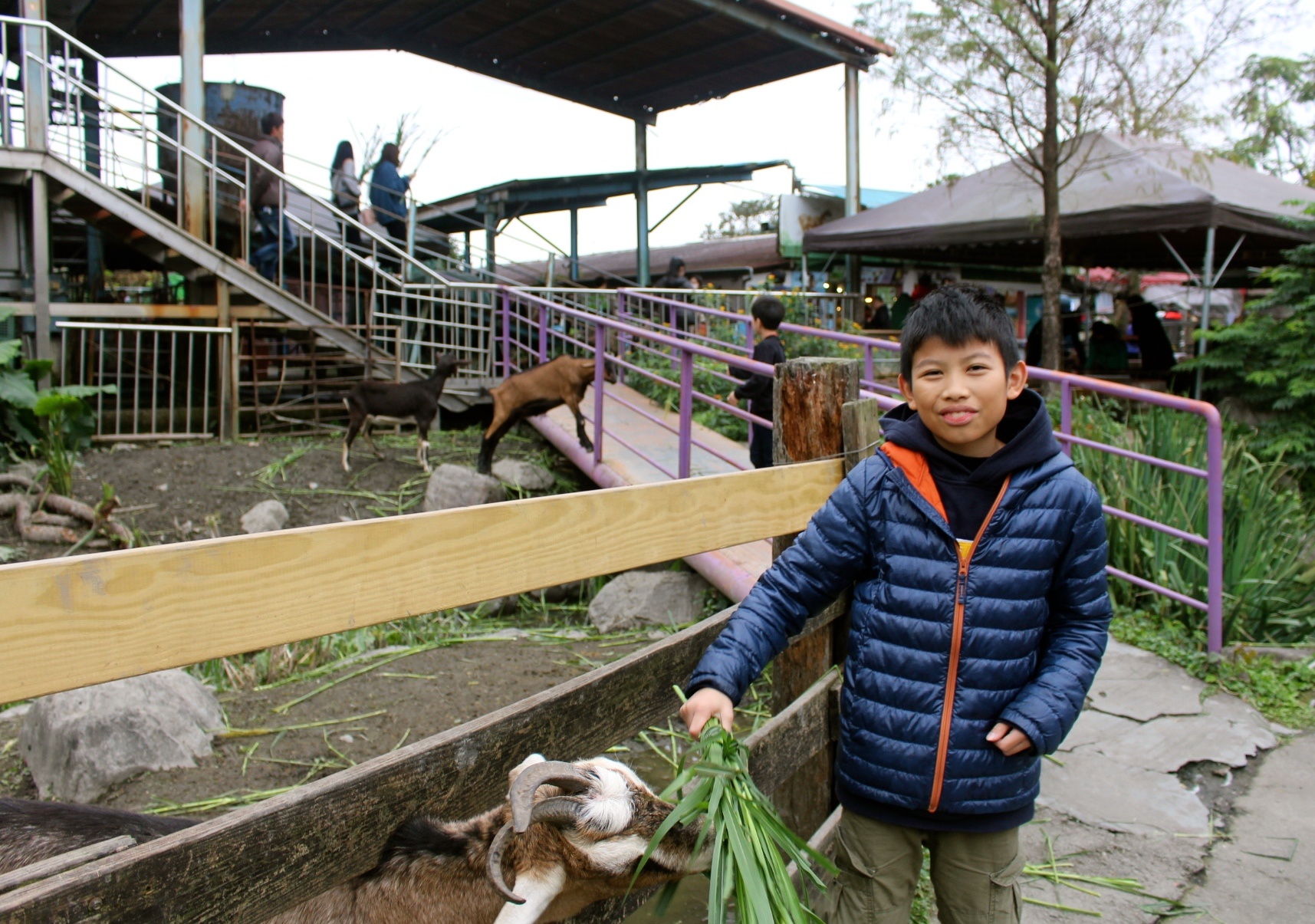 【玩 宜農牧場】30元誠實投幣入園．餵食五寶100元可以餵到八種小動物！不限時間、附設停車場