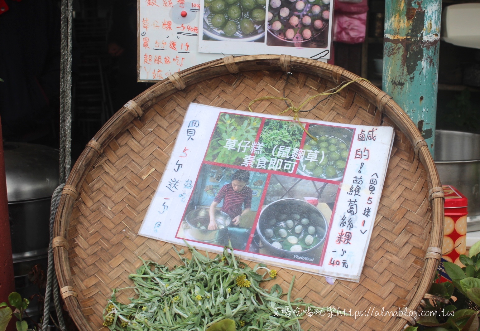 竹子湖海芋季