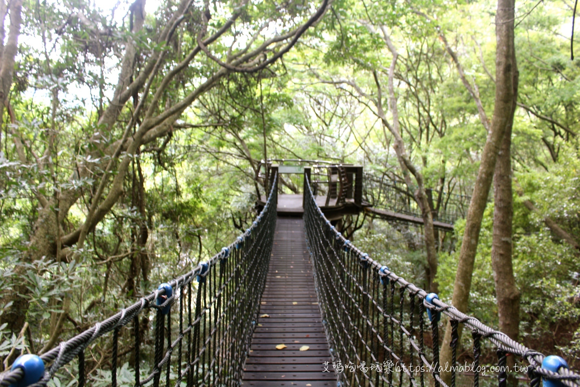 巴陵古道生態園區