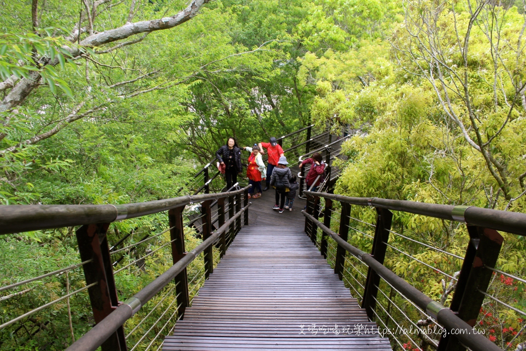 巴陵古道生態園區