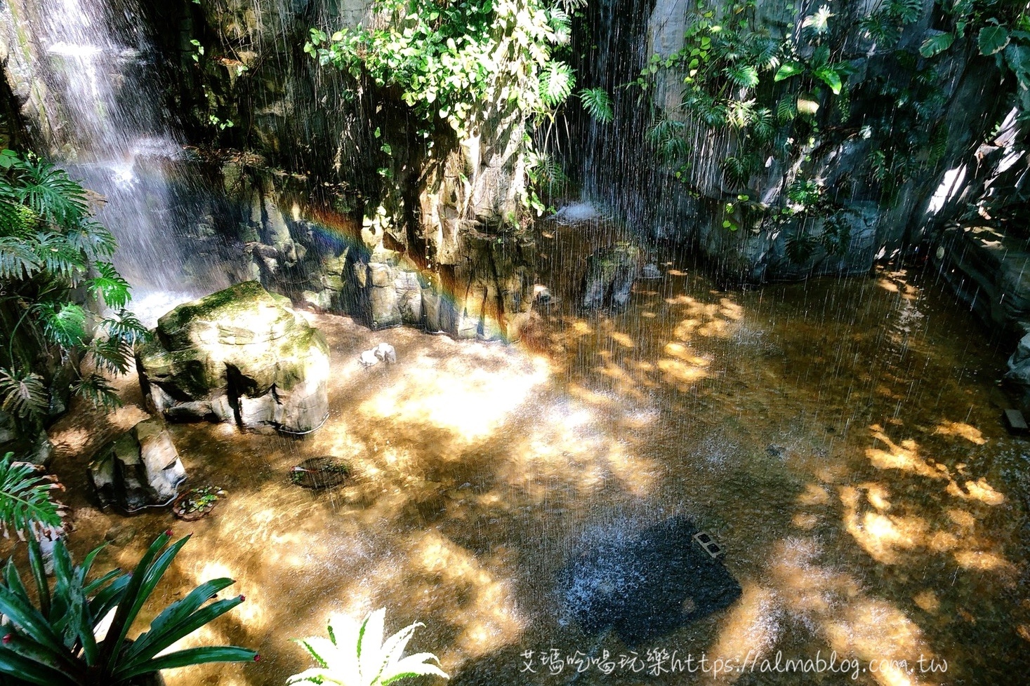 臺中科學博物館植物園