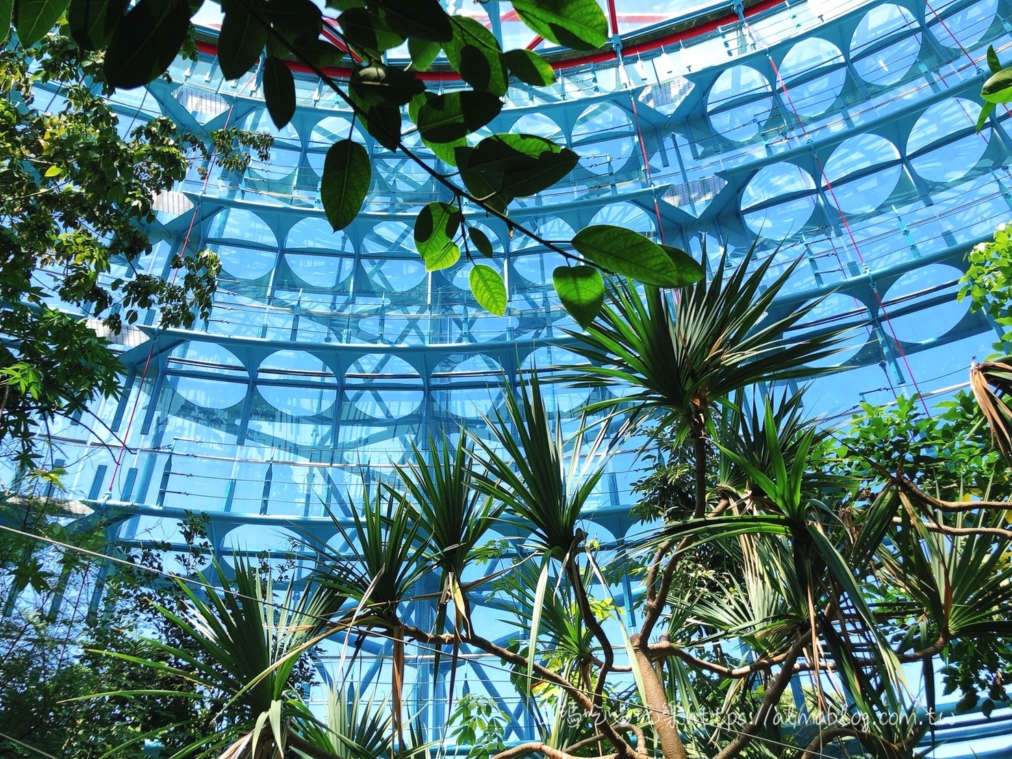 臺中科學博物館植物園