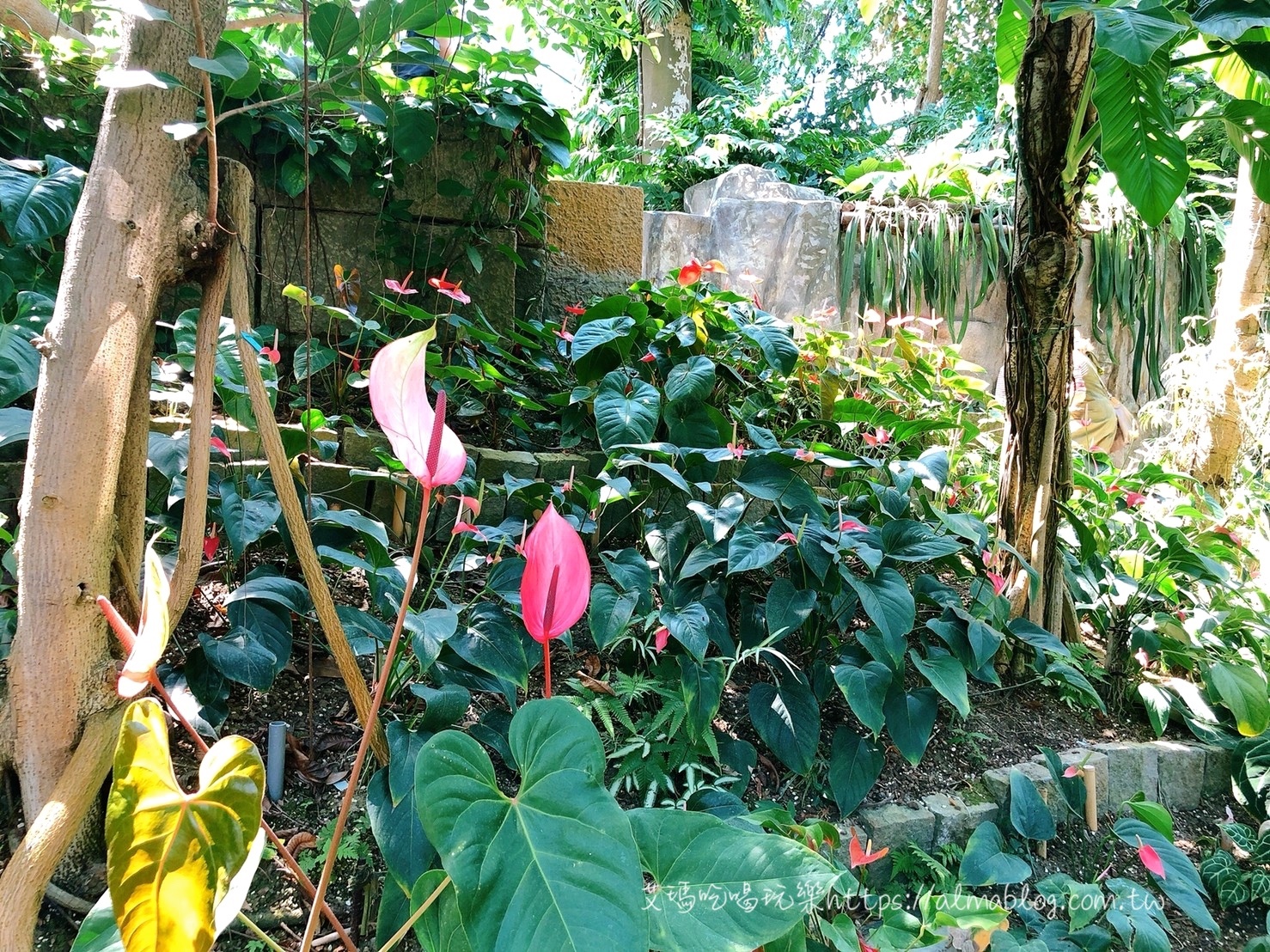 臺中科學博物館植物園