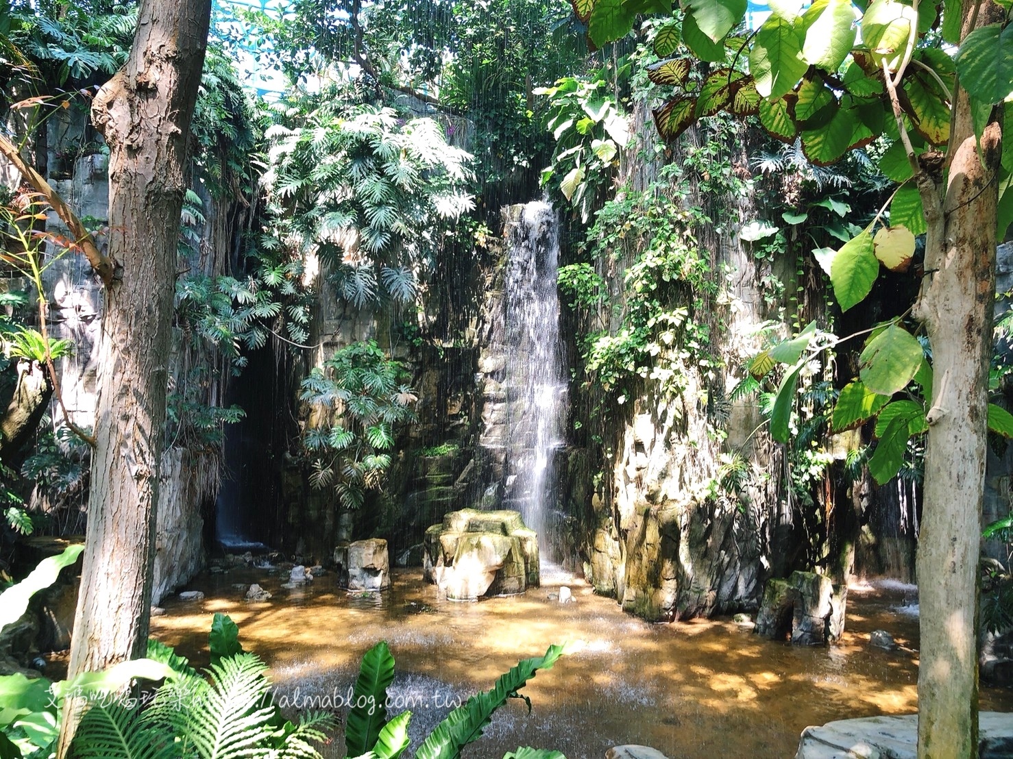 臺中科學博物館植物園