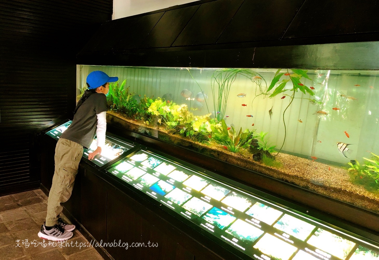 臺中科學博物館植物園