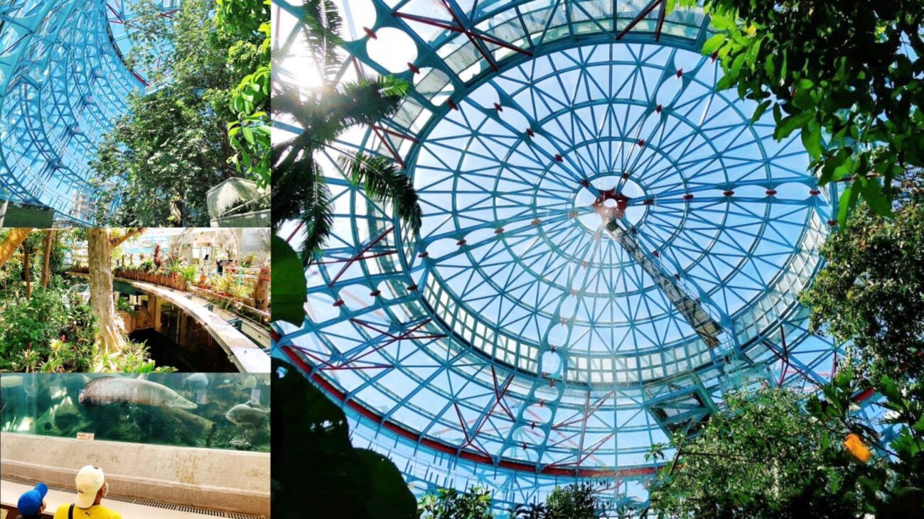 臺中科學博物館植物園,熱帶雨林溫室,週末親子遊,銅板門票,雨天備案 @艾瑪  吃喝玩樂札記