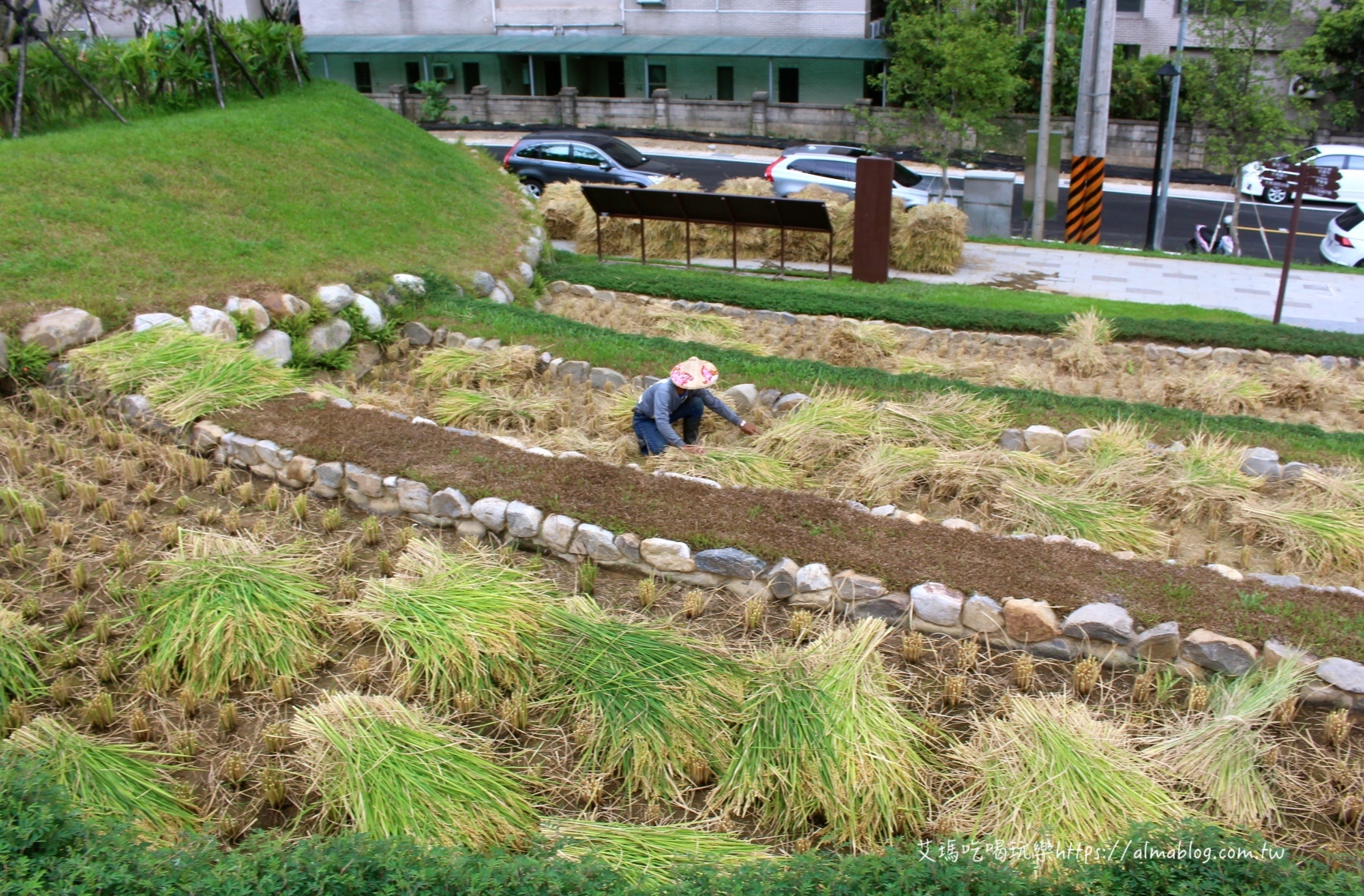 大有梯田生態公園