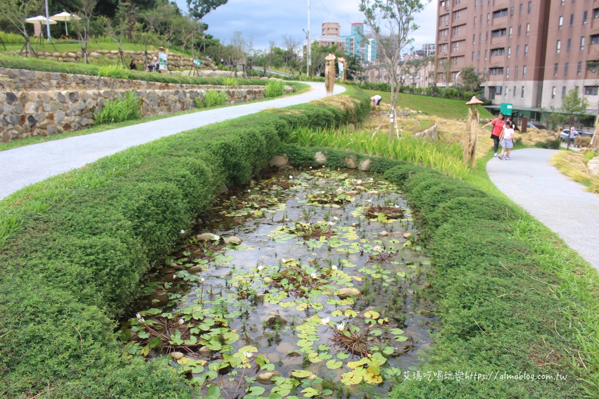 大有梯田生態公園