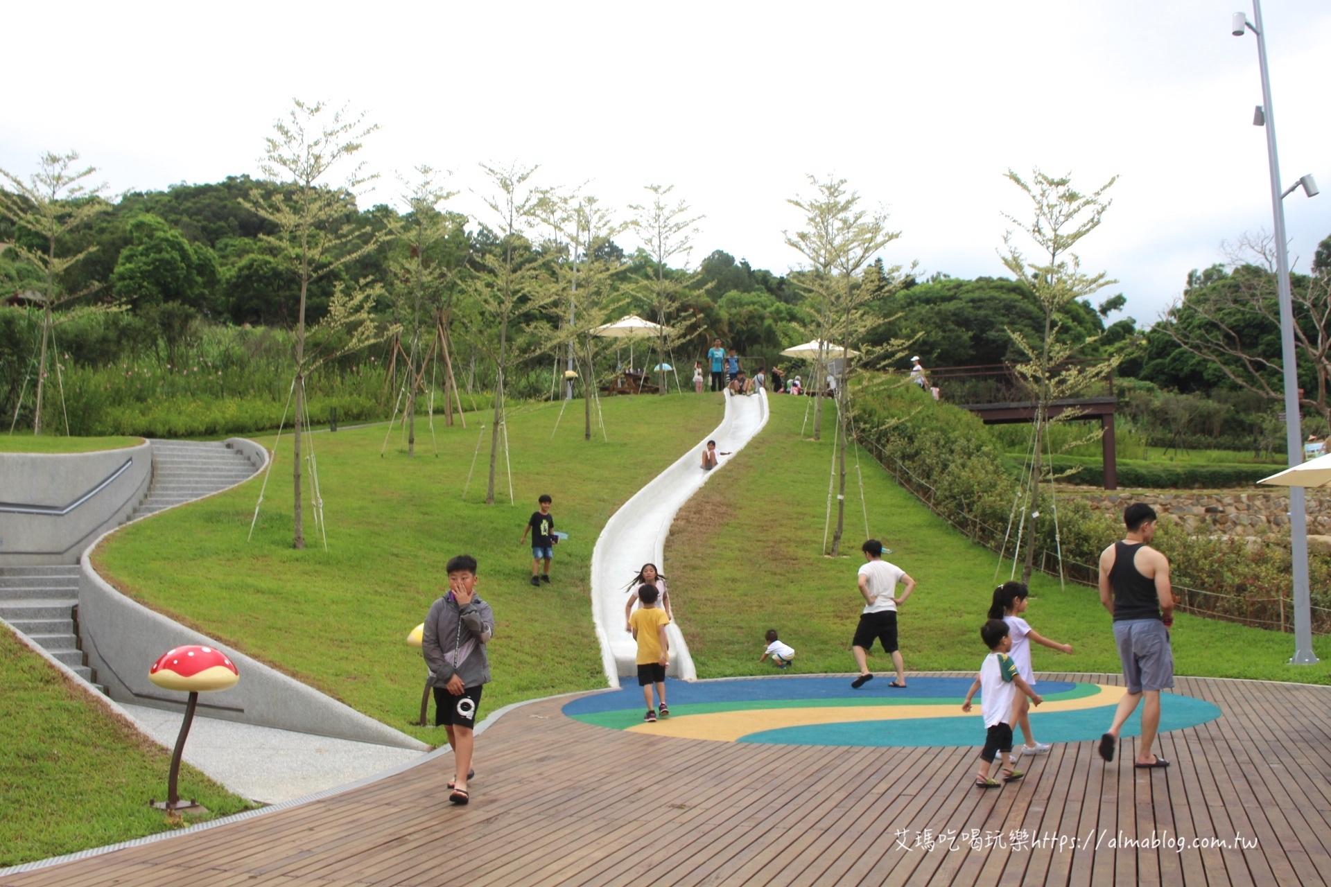 大有梯田生態公園