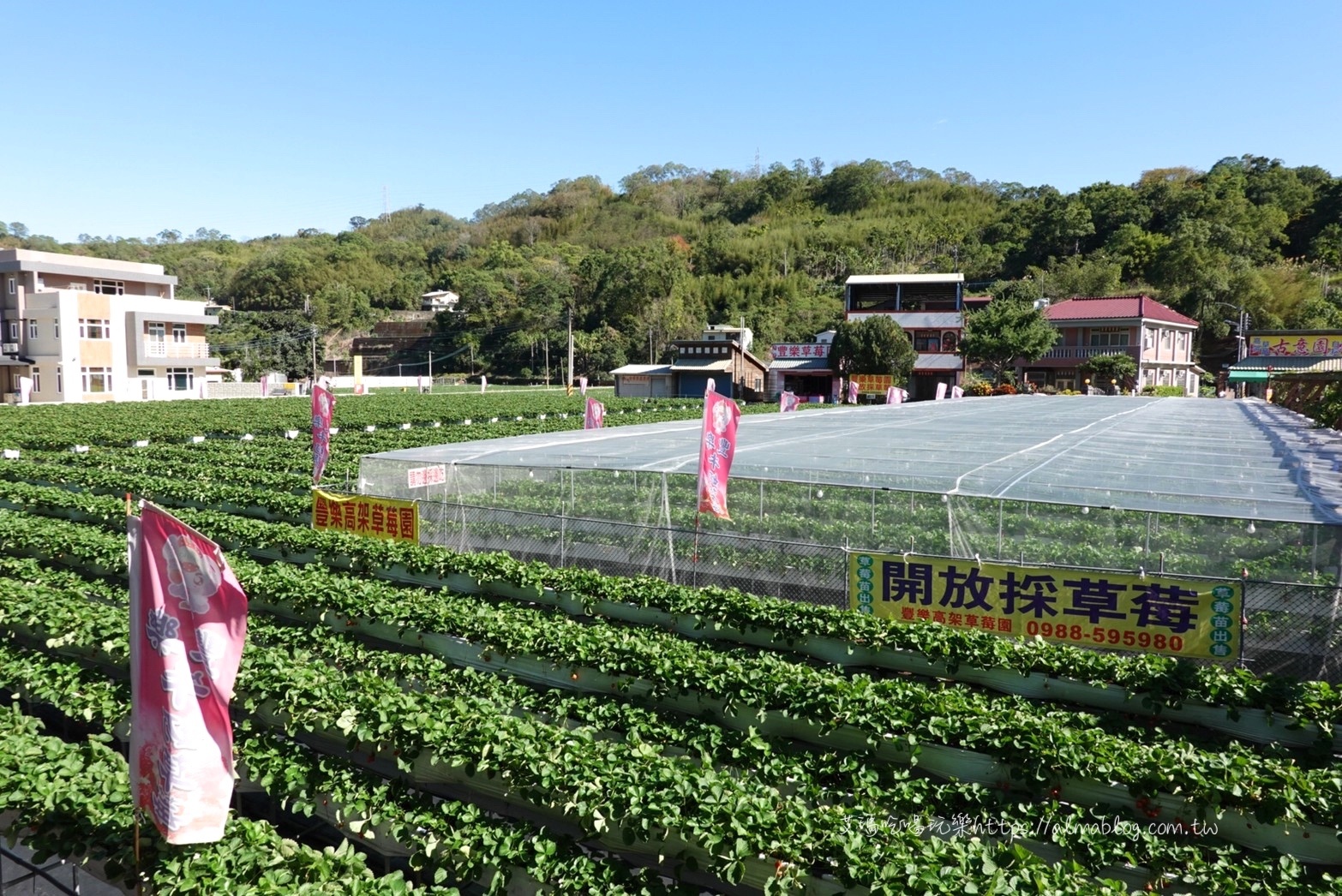 免費景點,苗栗好玩,苗栗景點,草莓冰,草莓文化館,草莓酒莊,草莓香腸