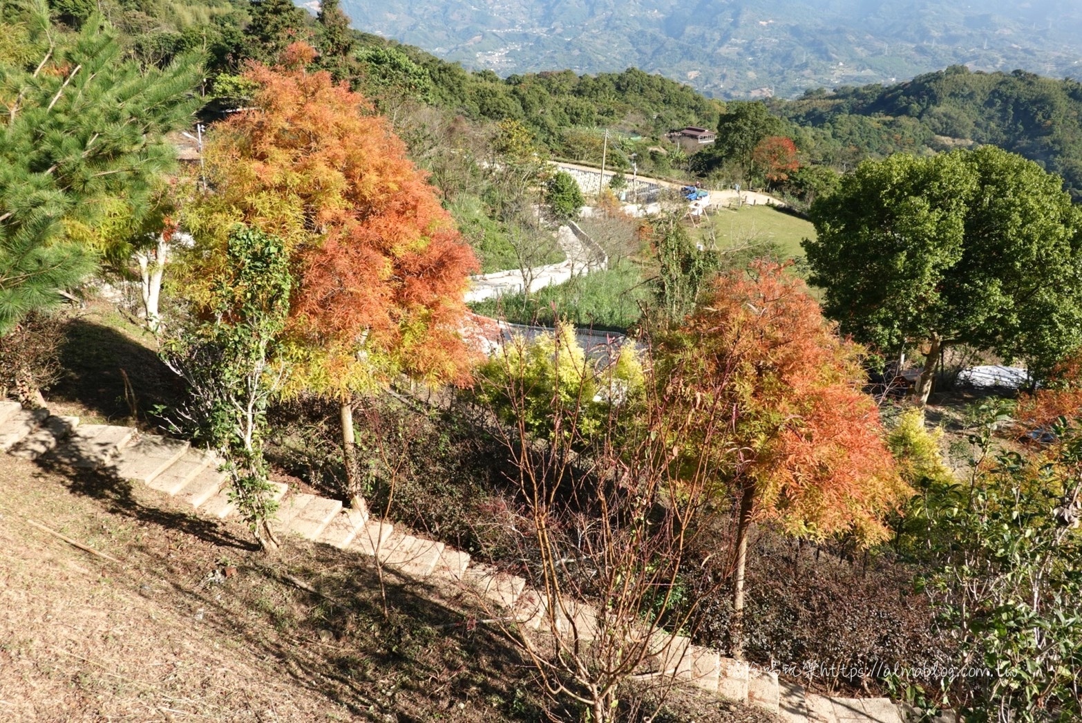 鐘鼎山林