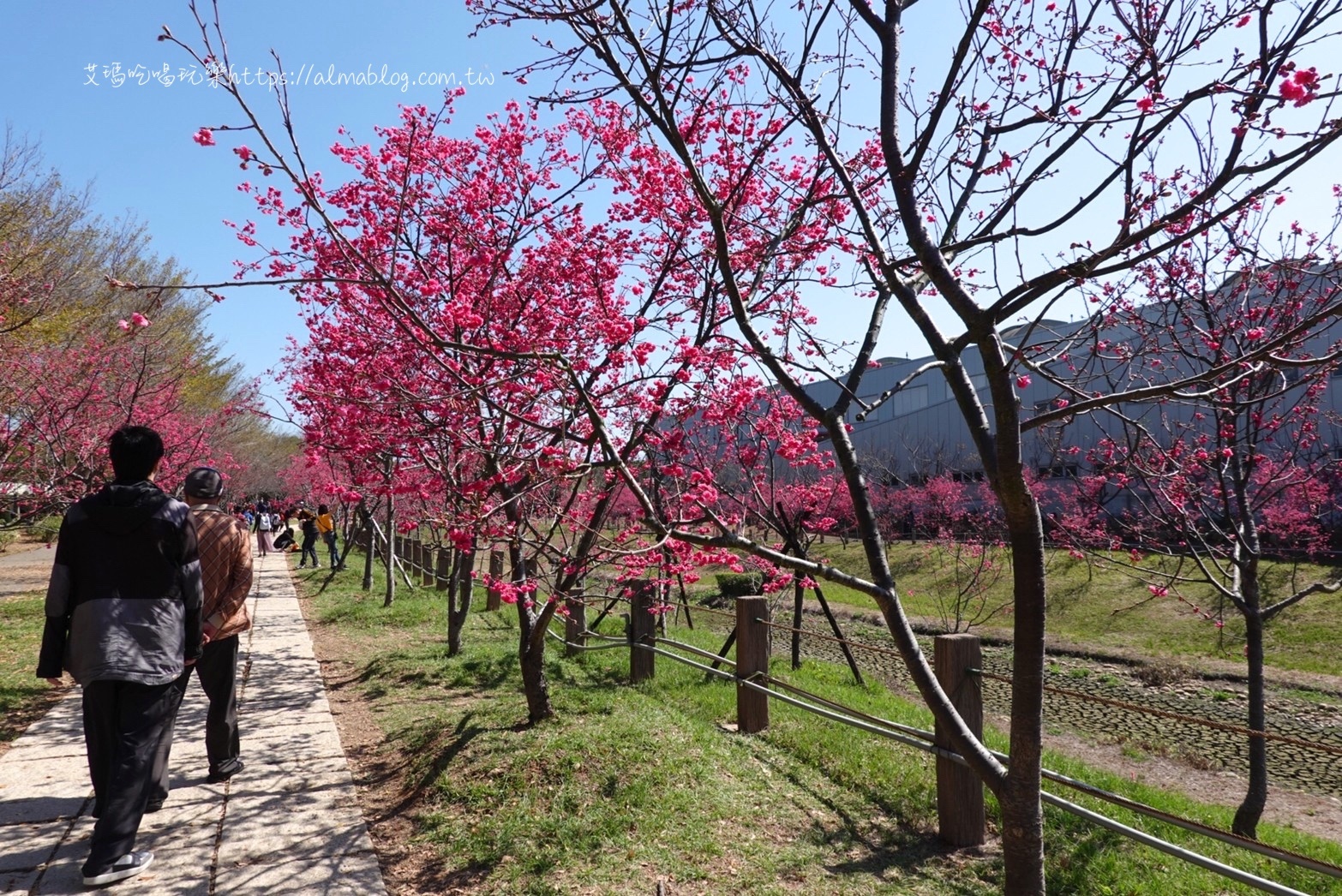 中科崴立櫻花公園