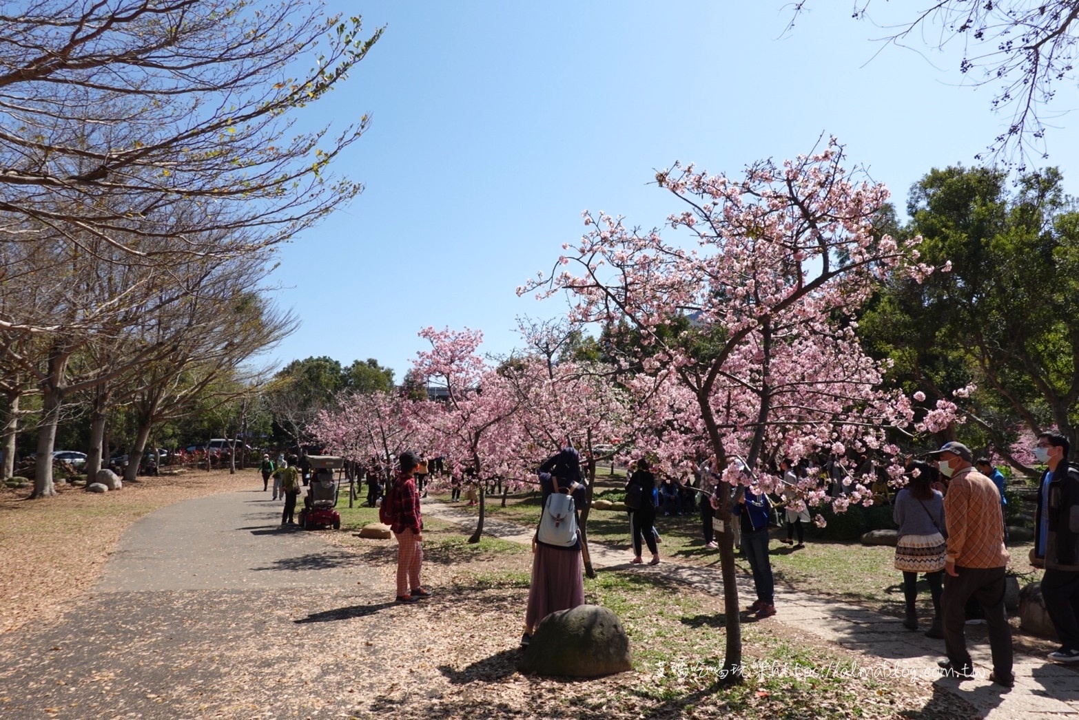 中科崴立櫻花公園