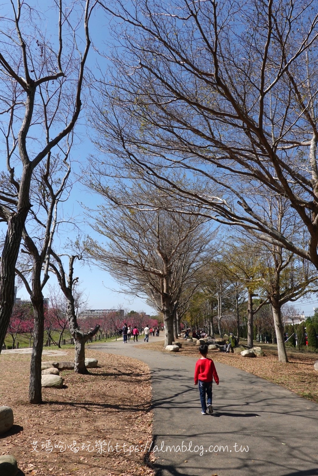 中科崴立櫻花公園