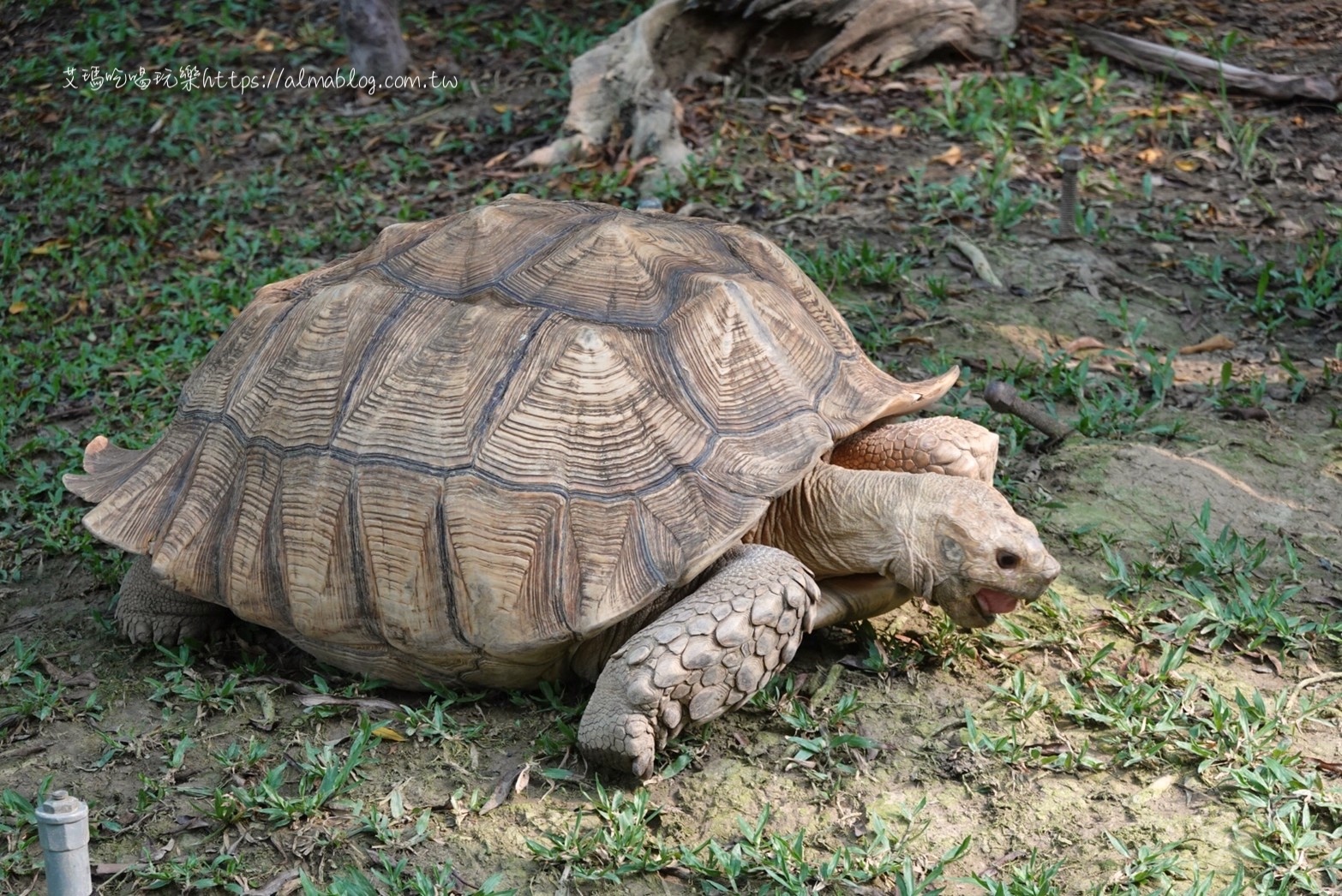 淨園農場