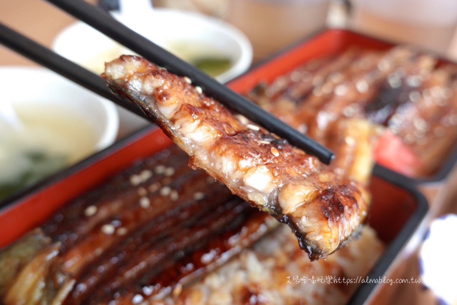 桃園美食,鰻天下,鰻魚粽,鰻魚飯