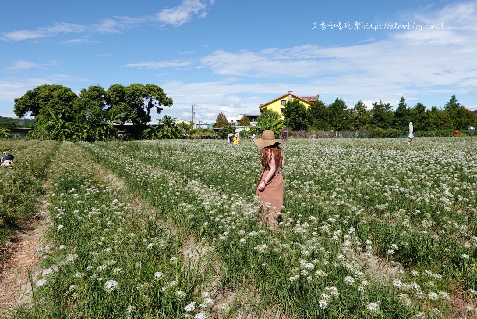 黃色小屋