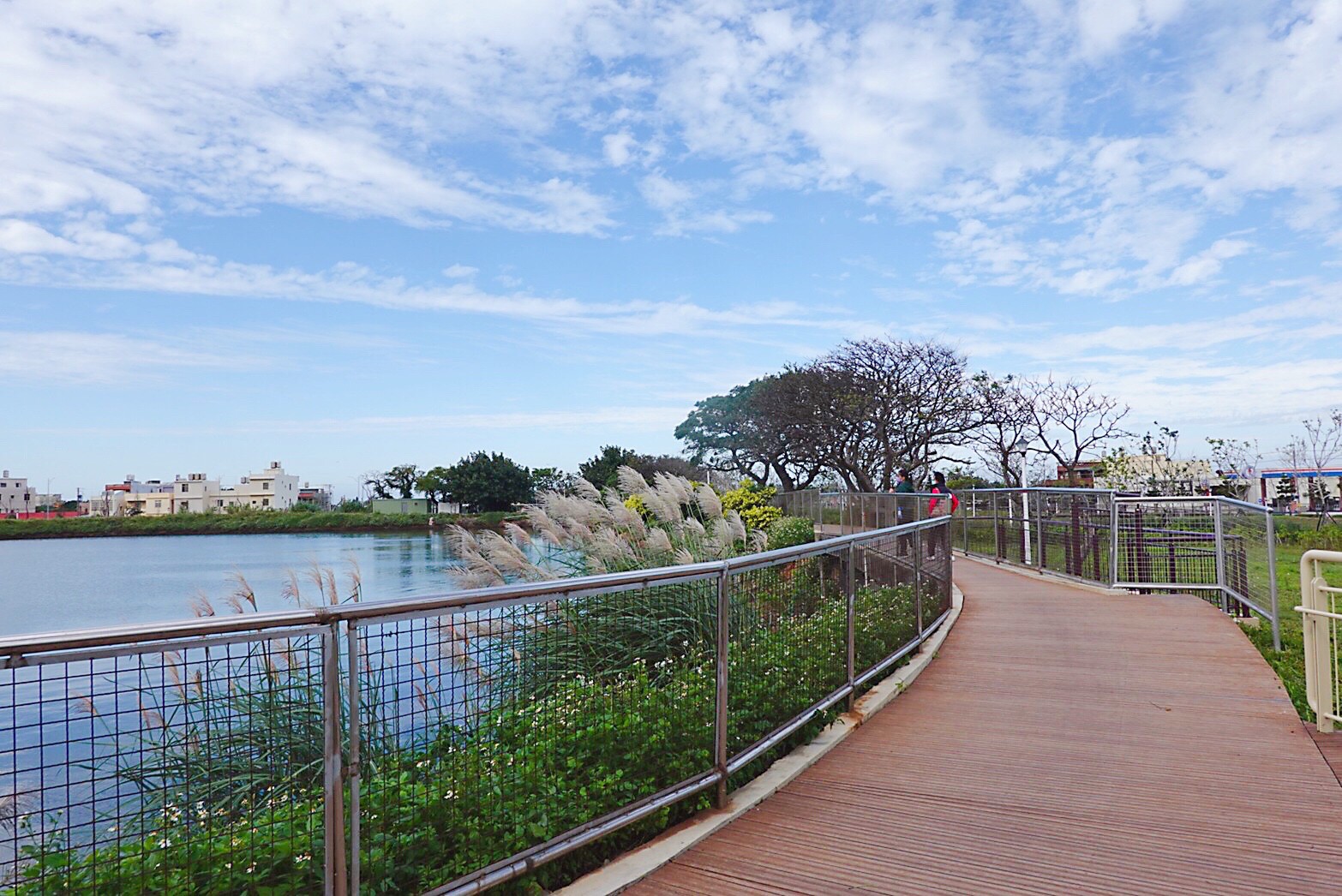 公園,水之丘主題公園,觀音草漯水之丘公園