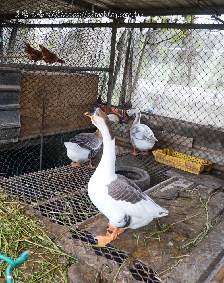 陽榮休閒農場