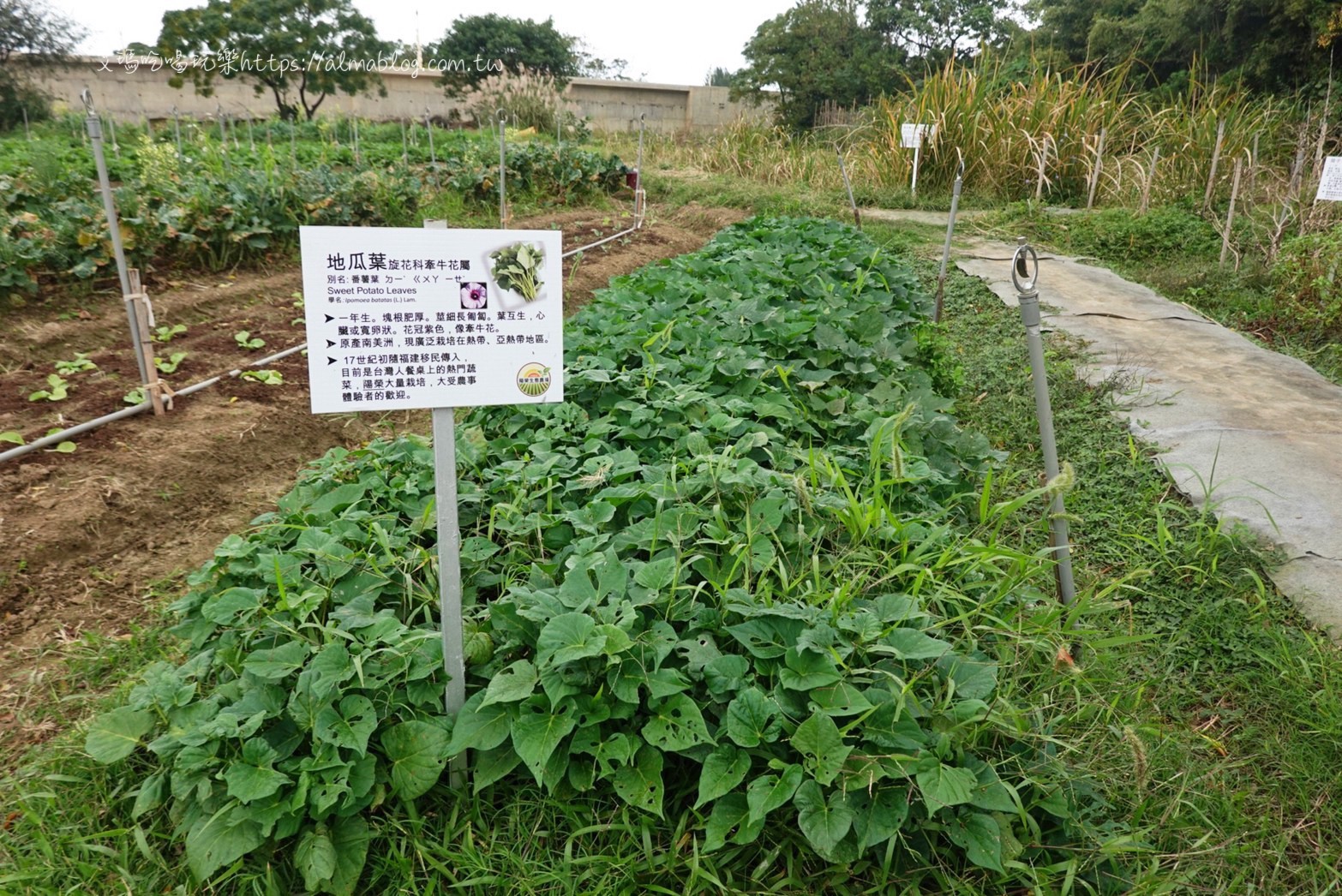 陽榮休閒農場