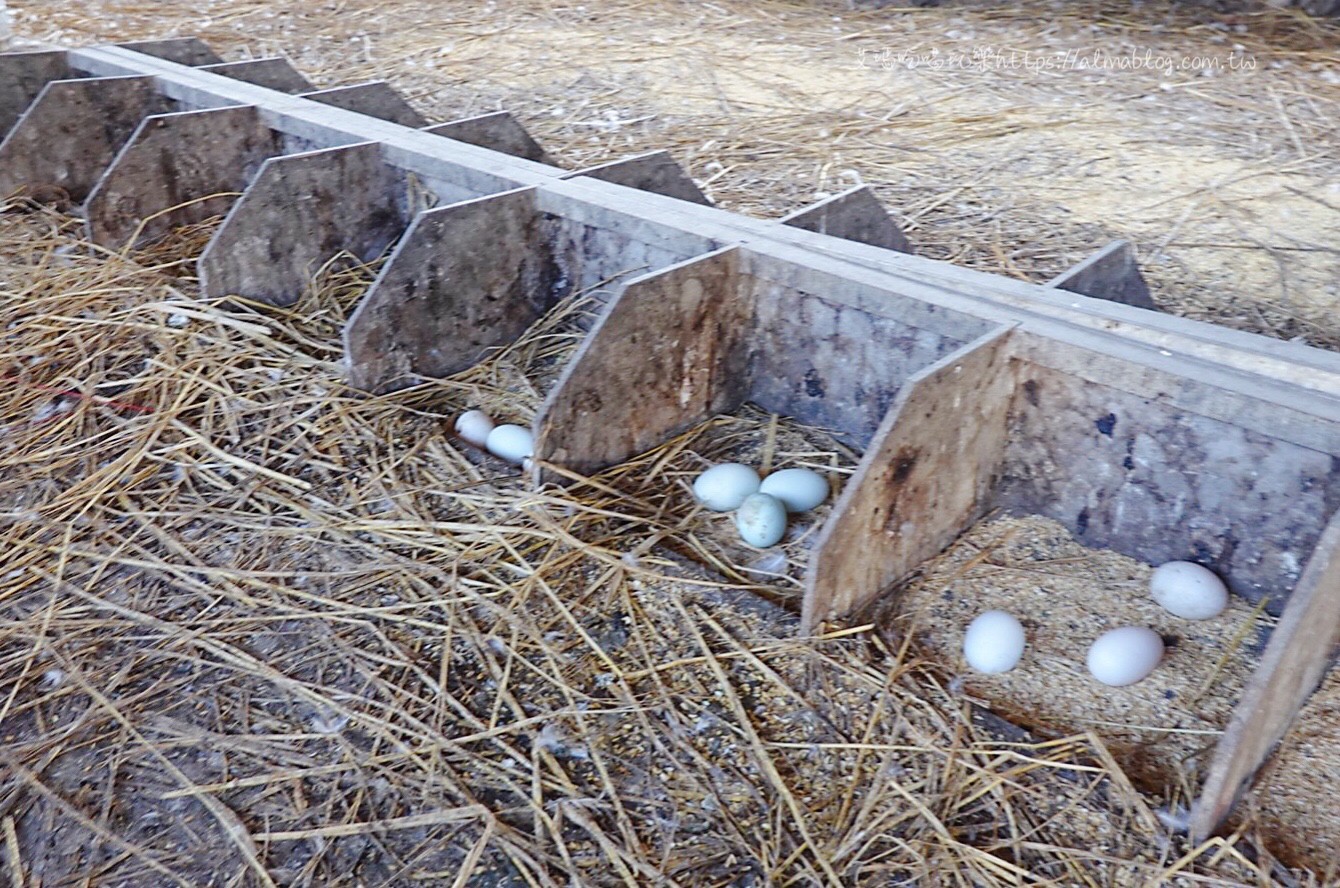 鴨寮故事館