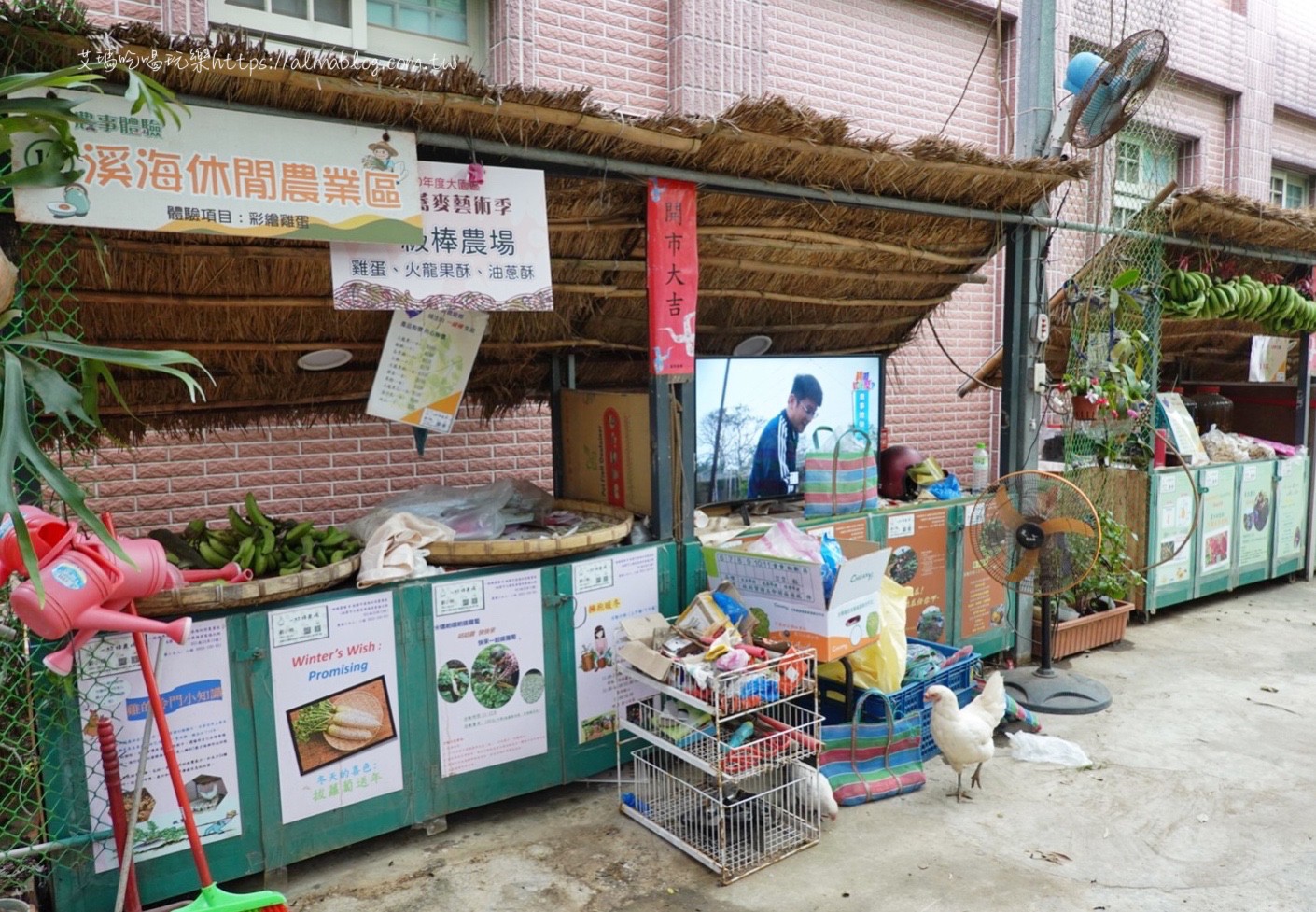 一極棒農場,大園農場,桃園景點,農場