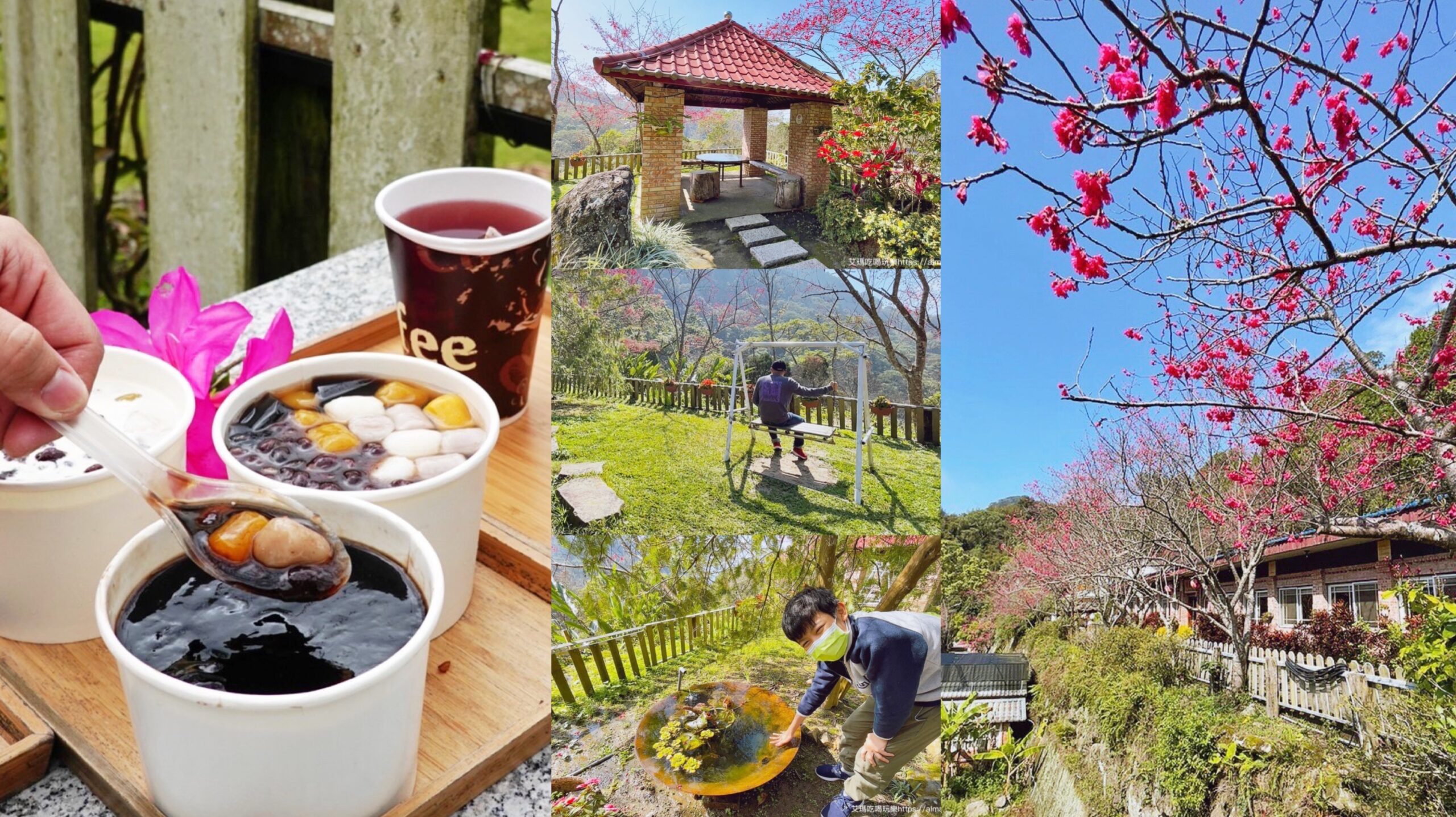 仙草,抹茶仙草雪花冰,星仙草,櫻花季,櫻花景點,燒仙草,苗栗景點