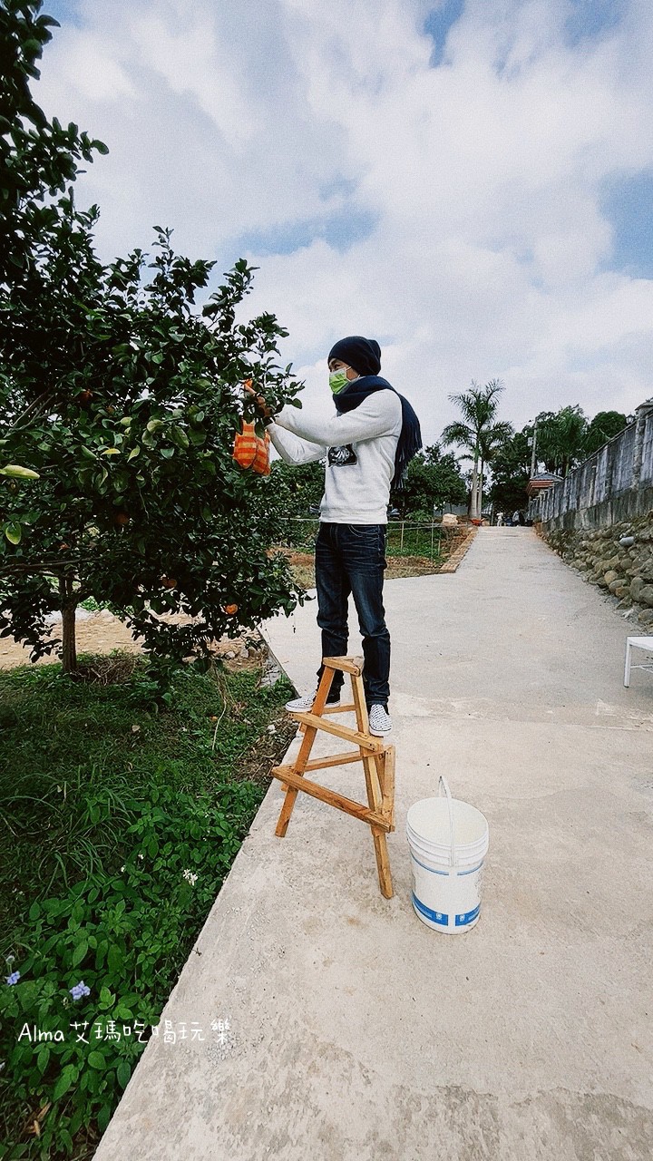 〖三和青創基地〗老屋廢棄雞舍改建文青基地．玩一下午不是問題，多肉植物DIY.親子餐廳.錦鯉園.釣魚樂.採砂糖橘