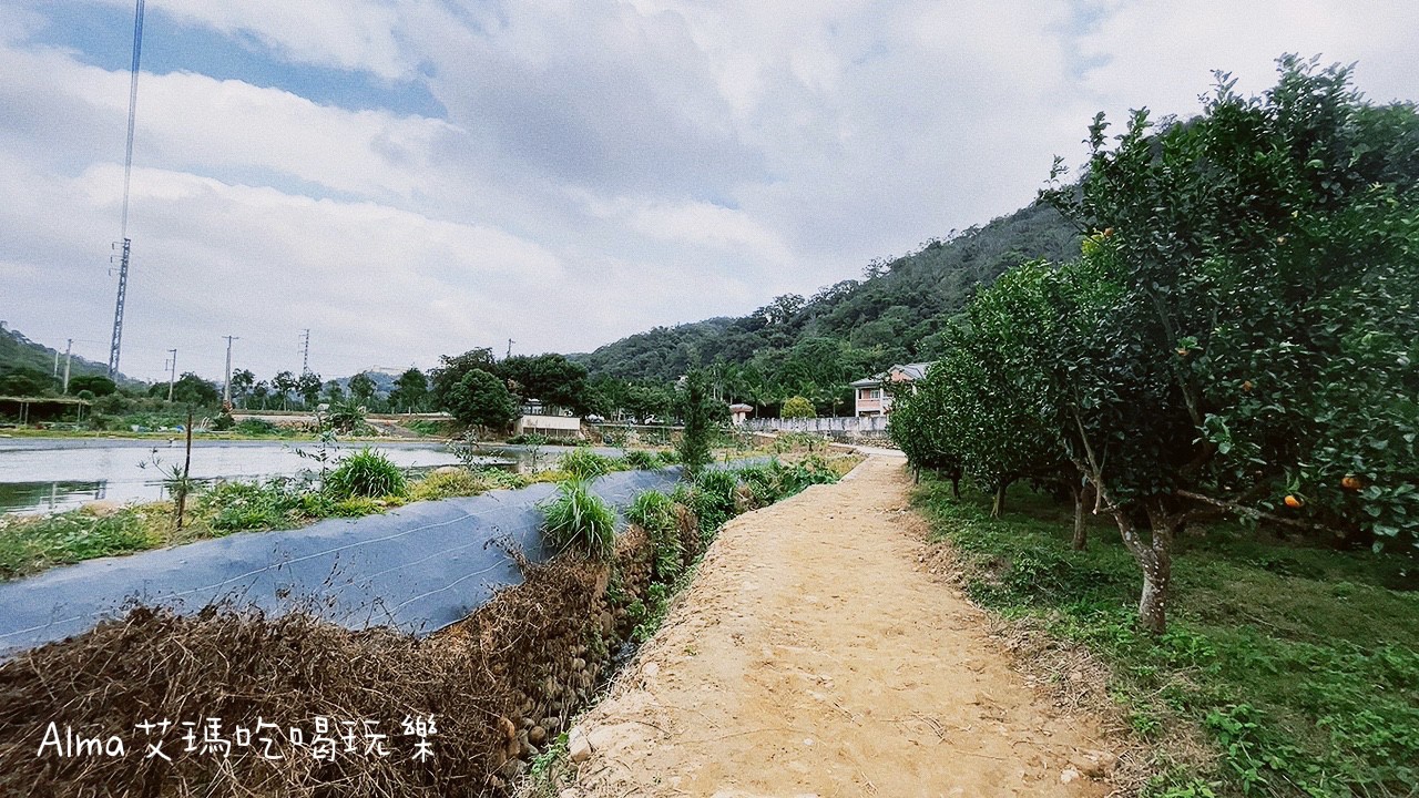 〖三和青創基地〗老屋廢棄雞舍改建文青基地．玩一下午不是問題，多肉植物DIY.親子餐廳.錦鯉園.釣魚樂.採砂糖橘