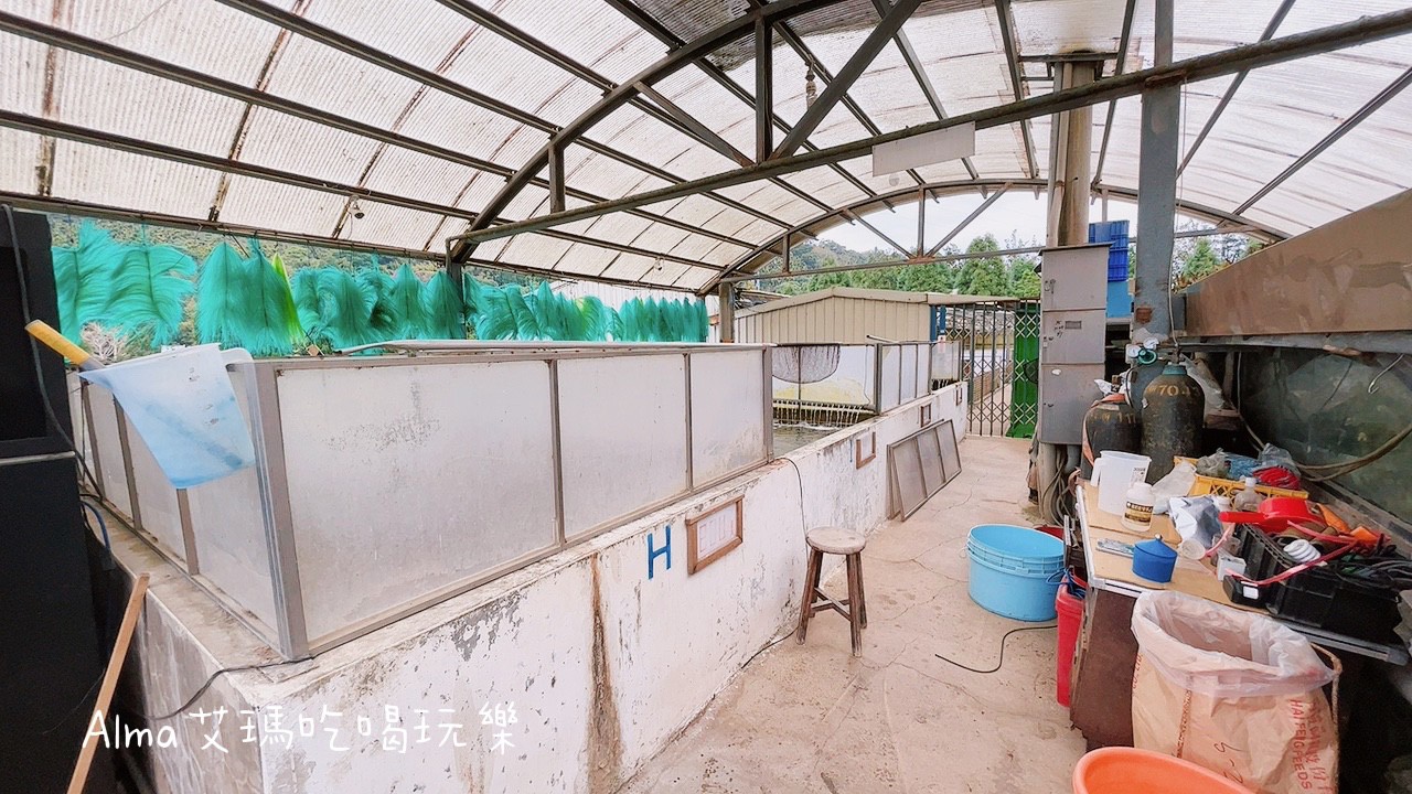 〖三和青創基地〗老屋廢棄雞舍改建文青基地．玩一下午不是問題，多肉植物DIY.親子餐廳.錦鯉園.釣魚樂.採砂糖橘