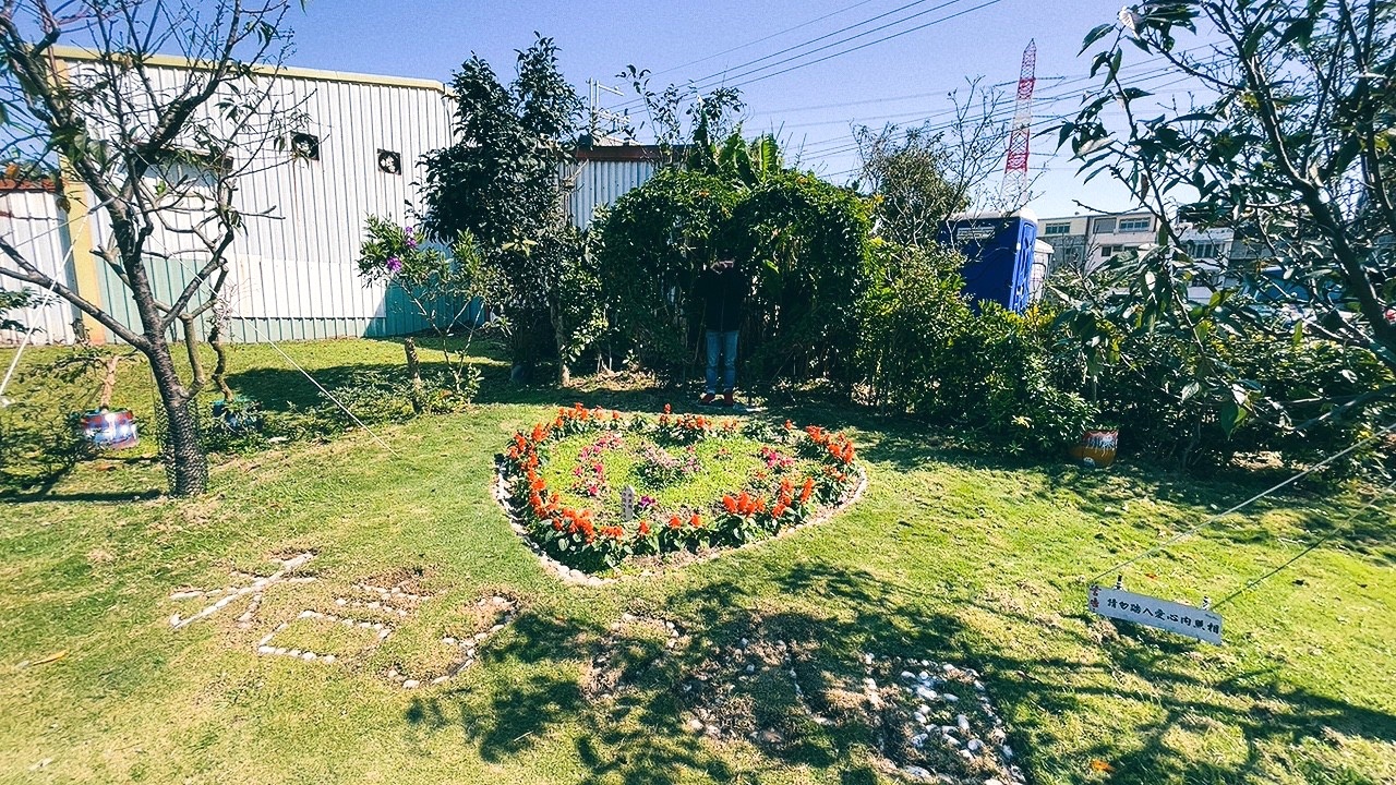 免費景點,新北公園,永吉公園,炮仗花